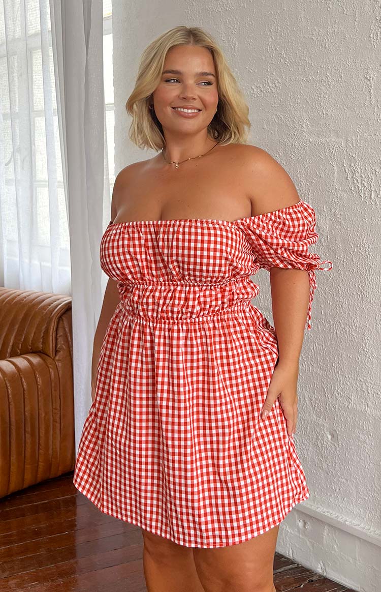 I'm Yours Red Gingham Mini Dress
