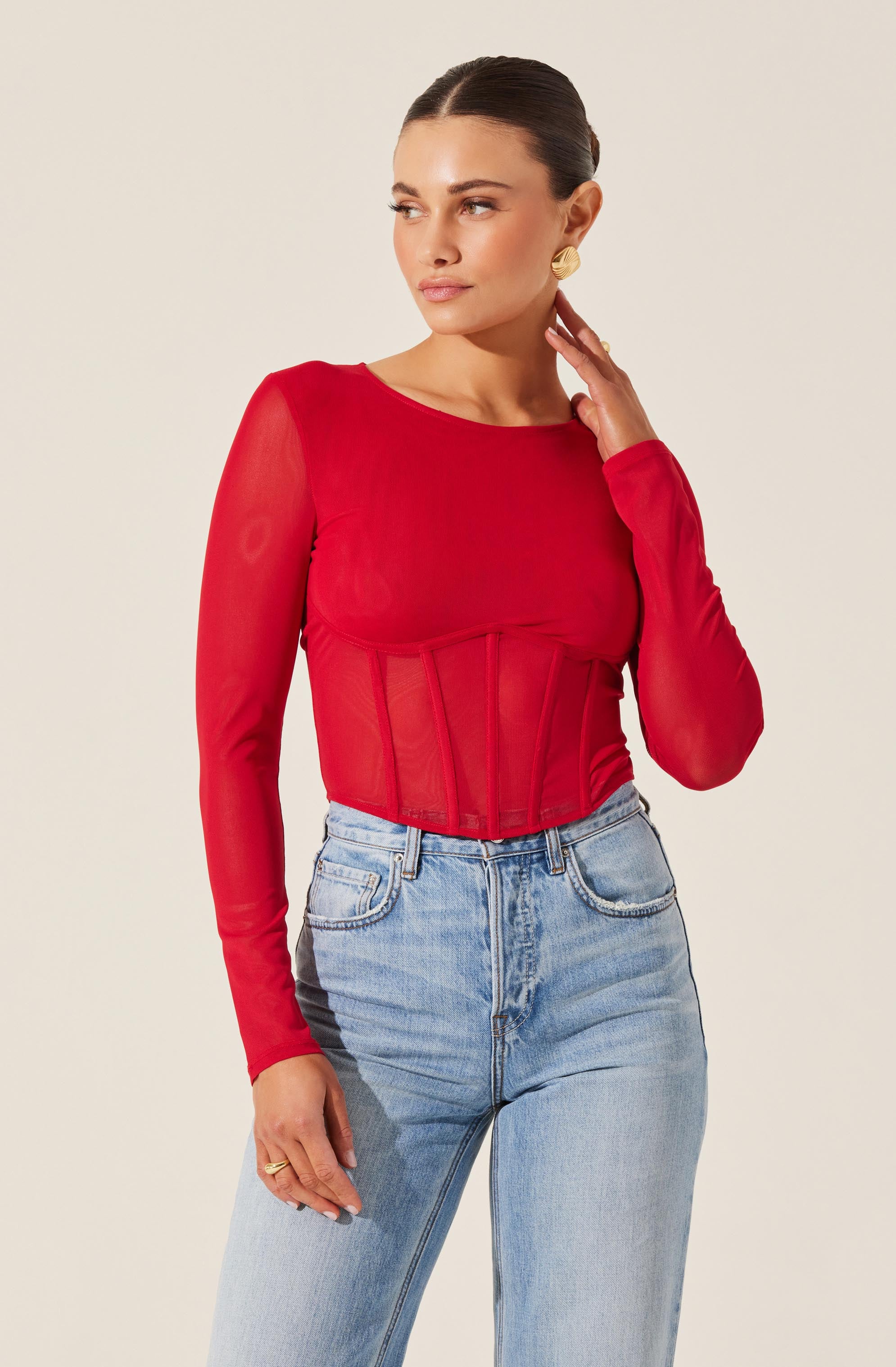 Long Sleeve Mesh Corset Top