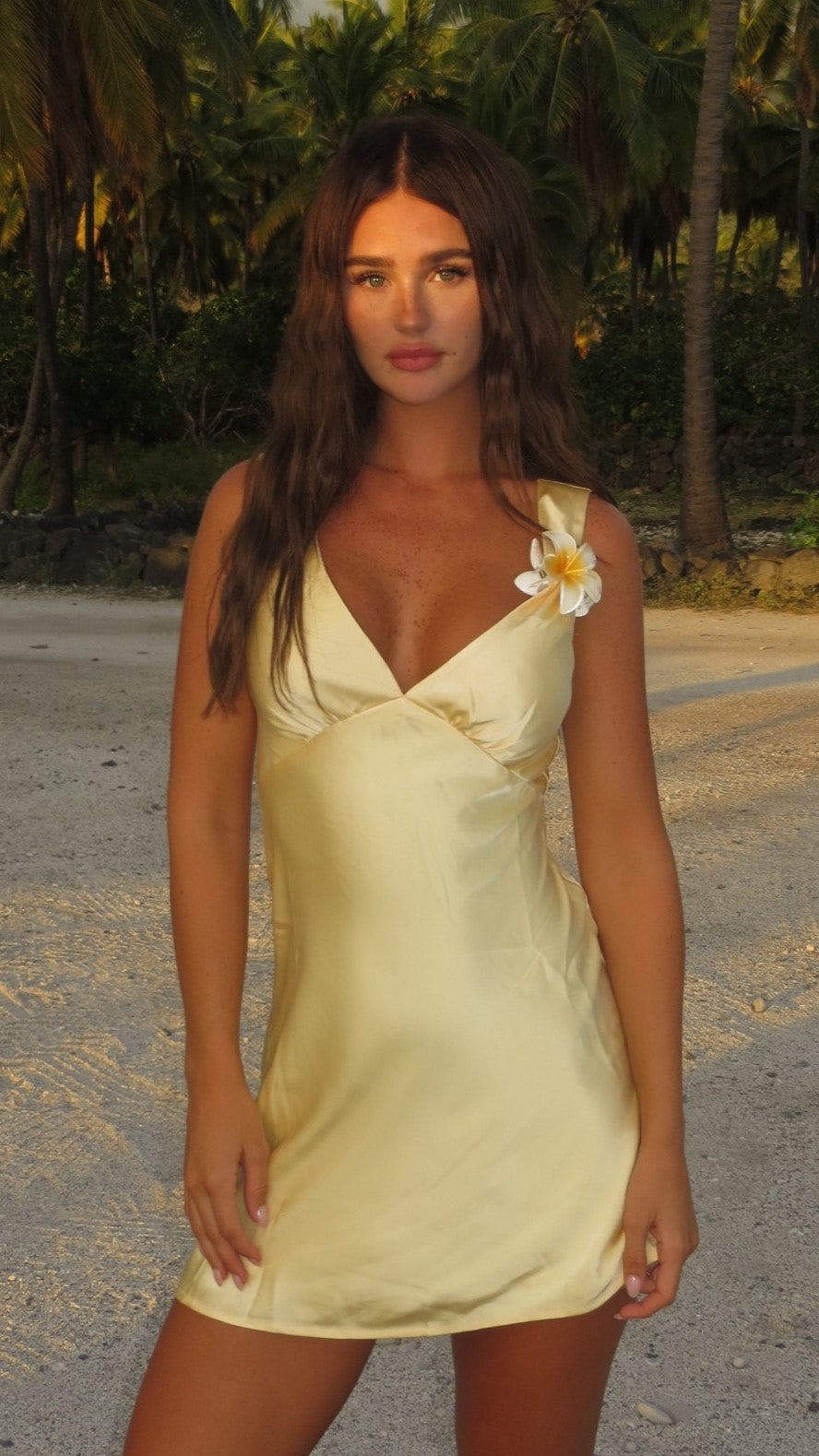 Taylor Mini Dress - Yellow