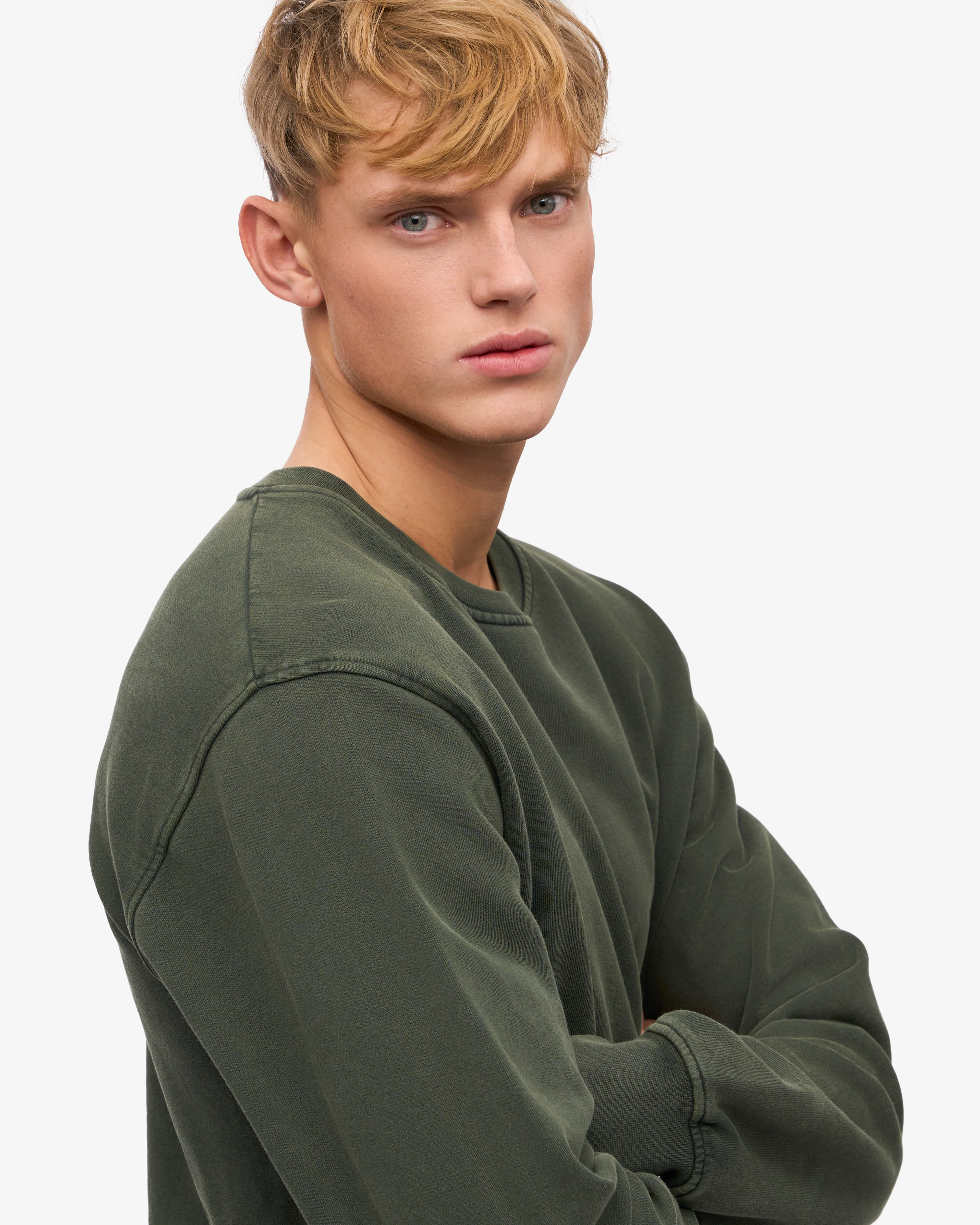 Classic Organic Crew - Midnight Forest