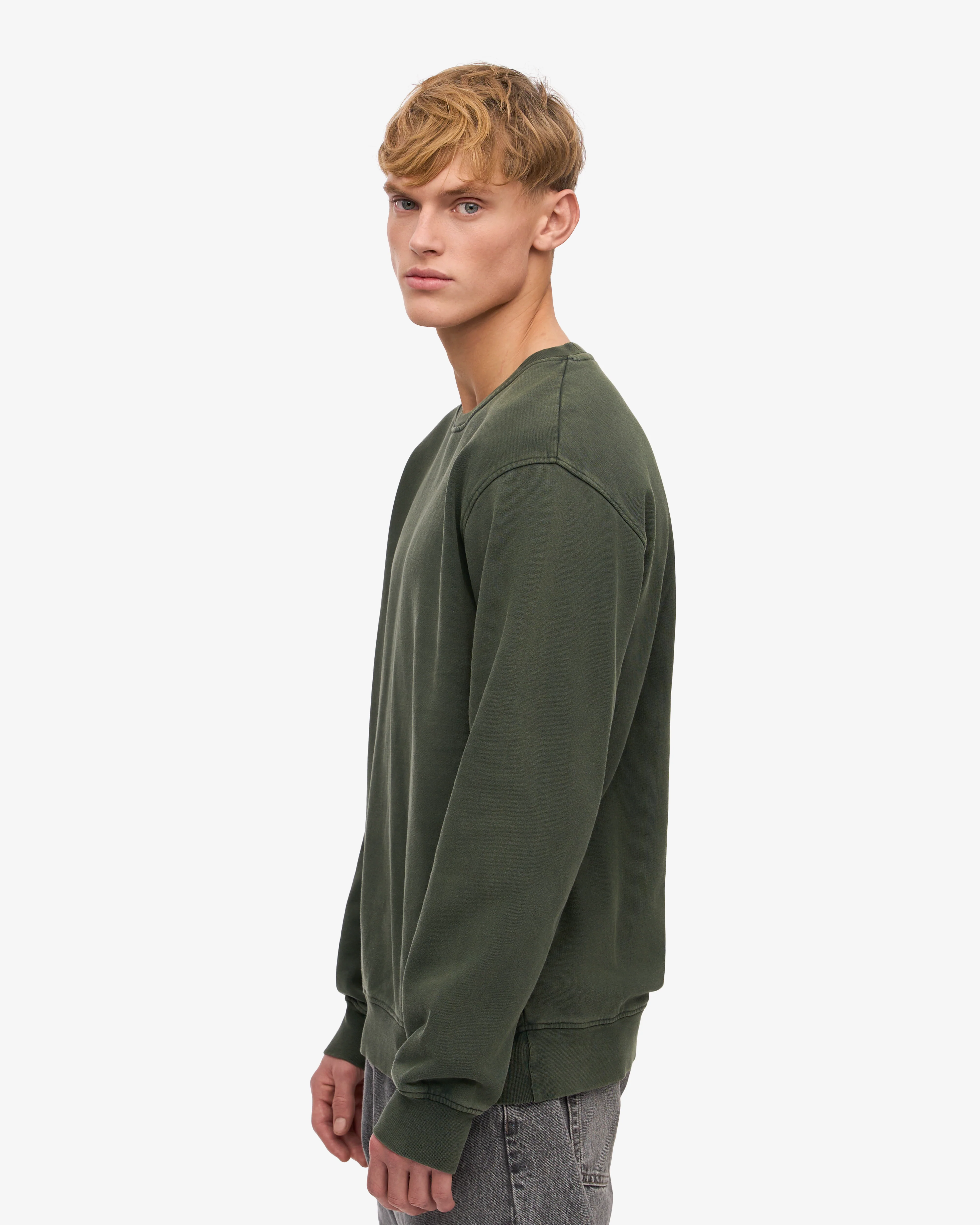 Classic Organic Crew - Midnight Forest