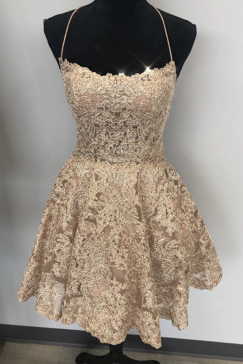 Janice | A-Line Lace Short Sky Blue Homecoming Dress