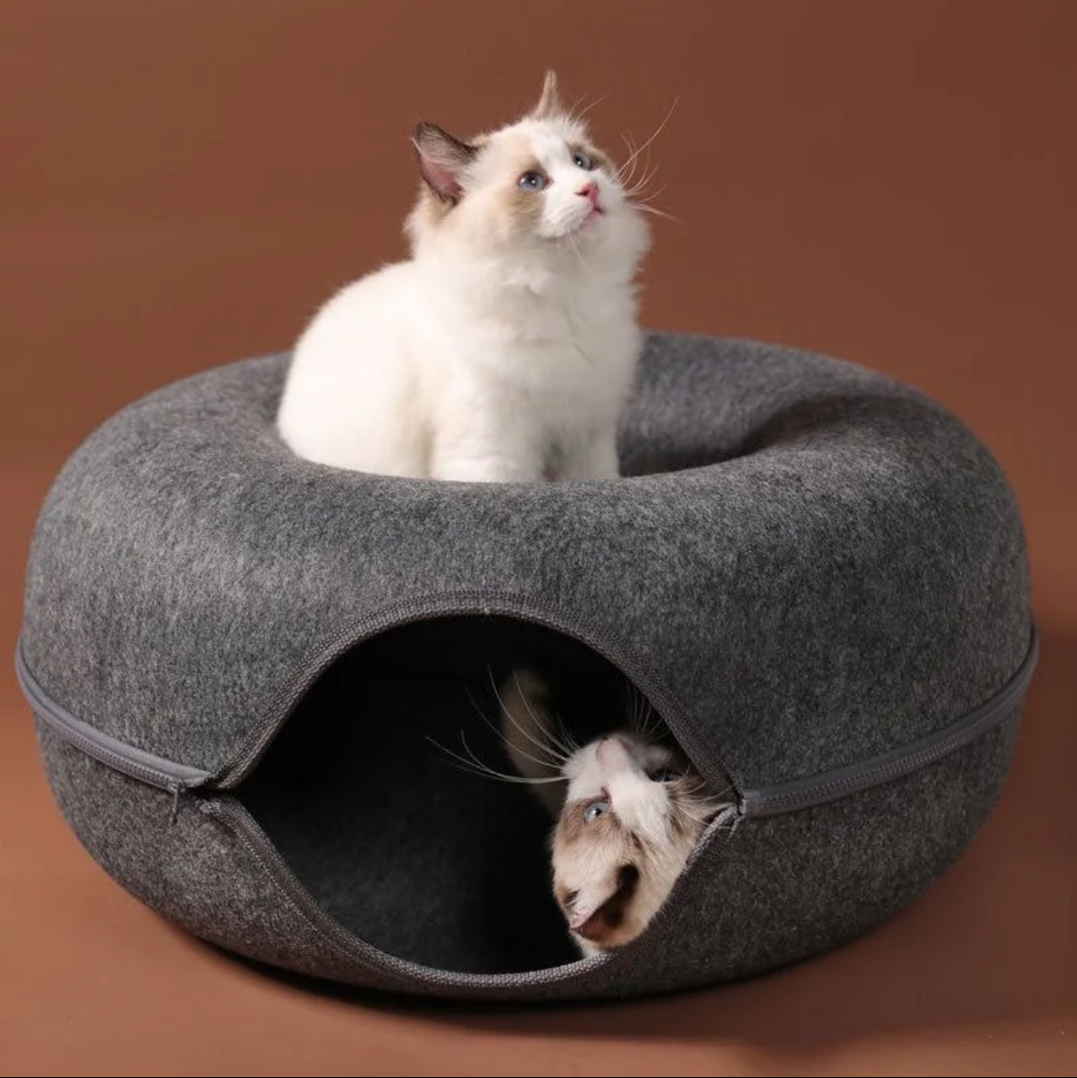[Buy one get one free] Felt Donut Tunnel Cat Bed | All-Season Semi-Enclosed Design | Removable Tire-Shaped Cat Bed for a Sense of Security