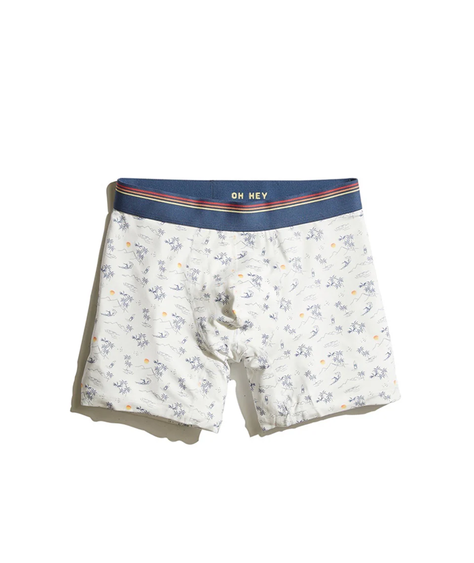 Best Boxer Briefs Ever in ML Print