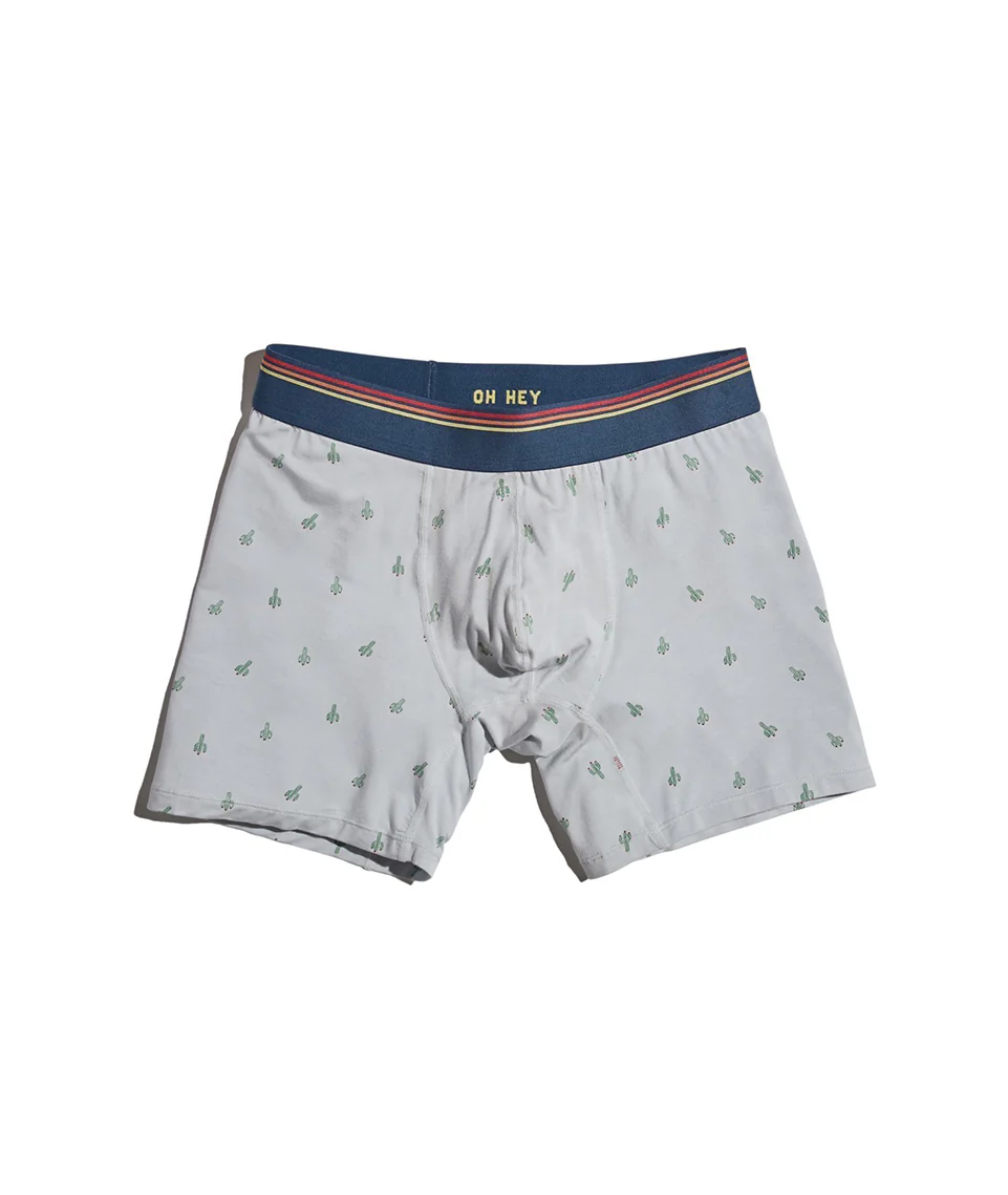 Best Briefs Ever in Cactus Print