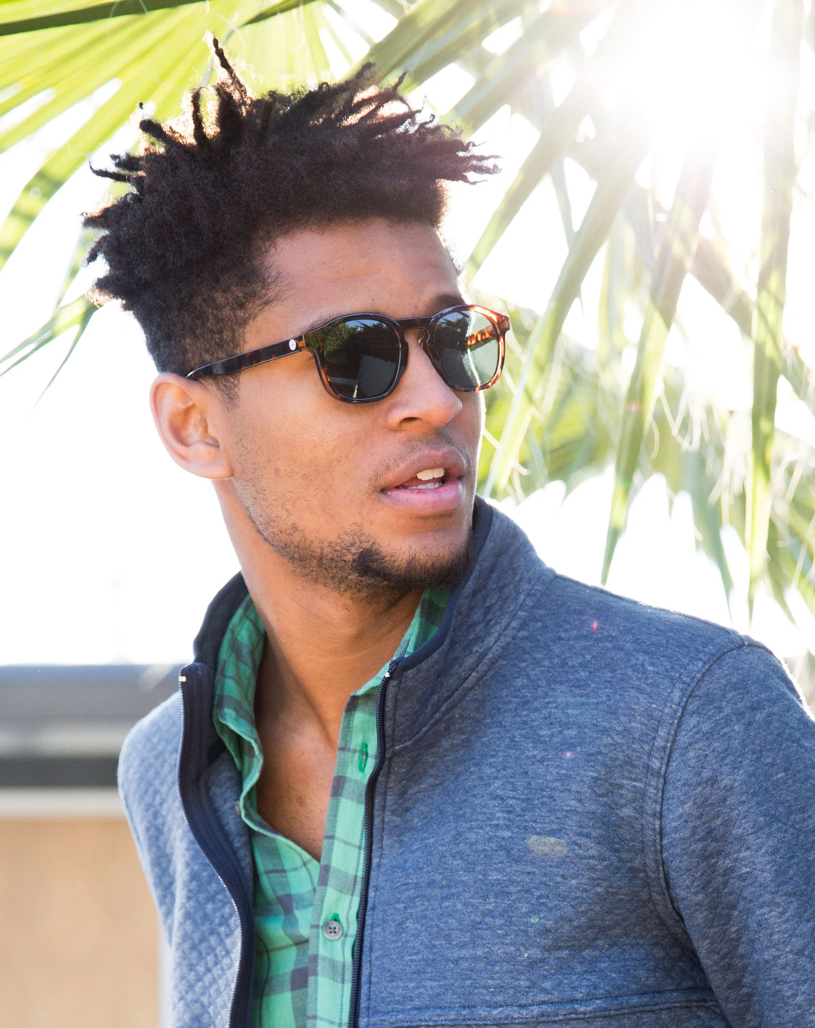 Sunski - Foothills - Tortoise and Forest