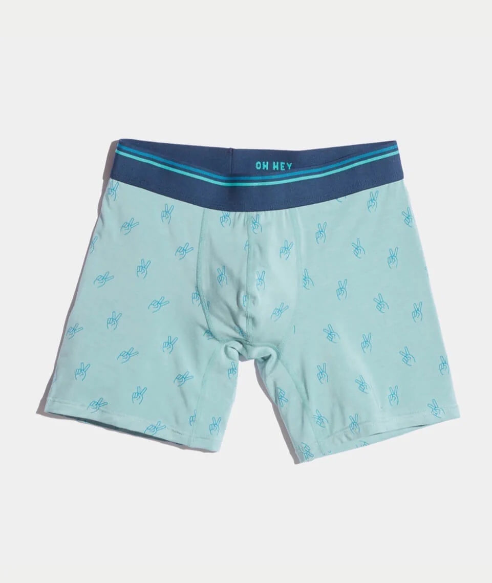 Best Briefs Ever in Faded Teal