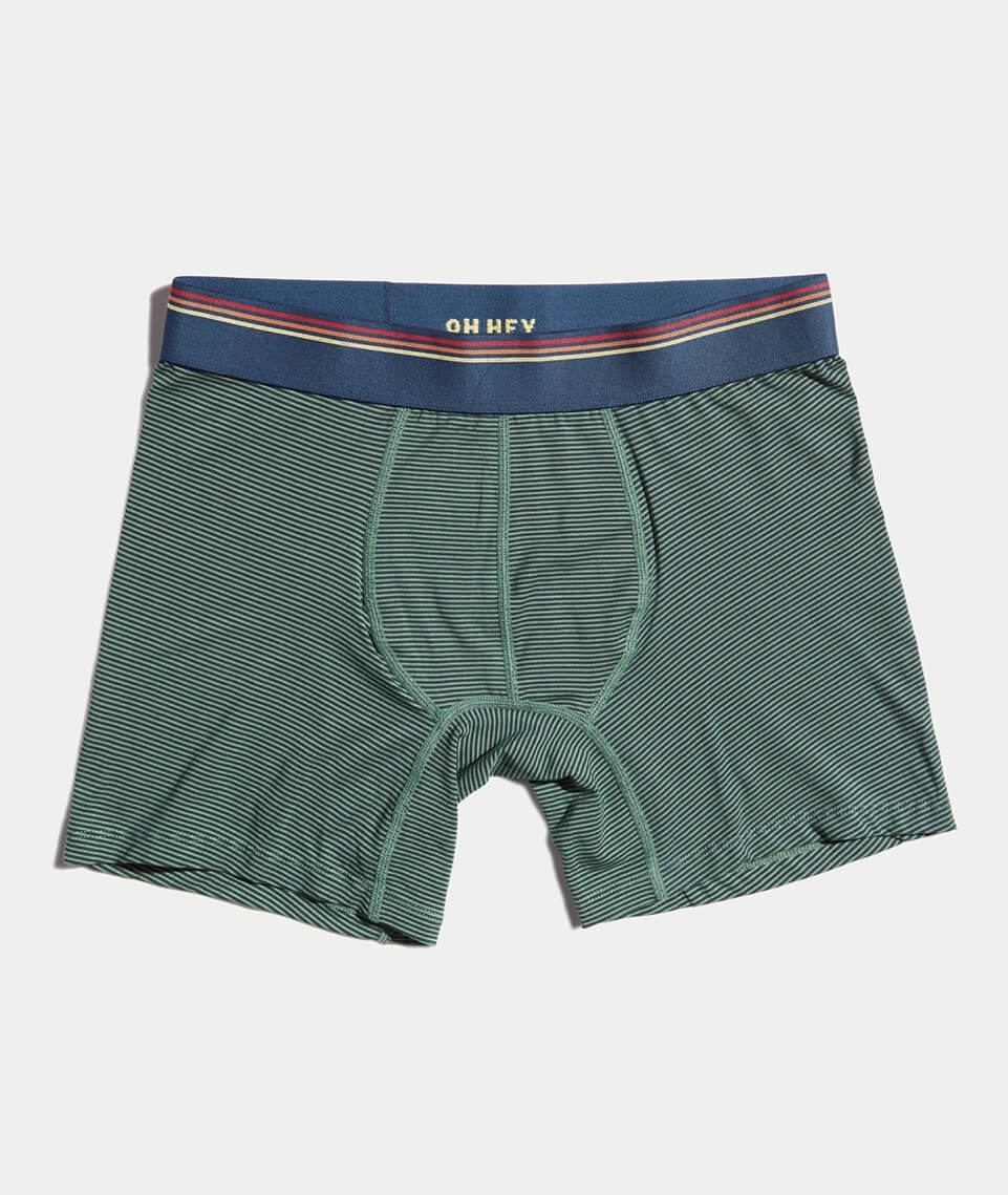 Best Briefs Ever in Ivy Stripe