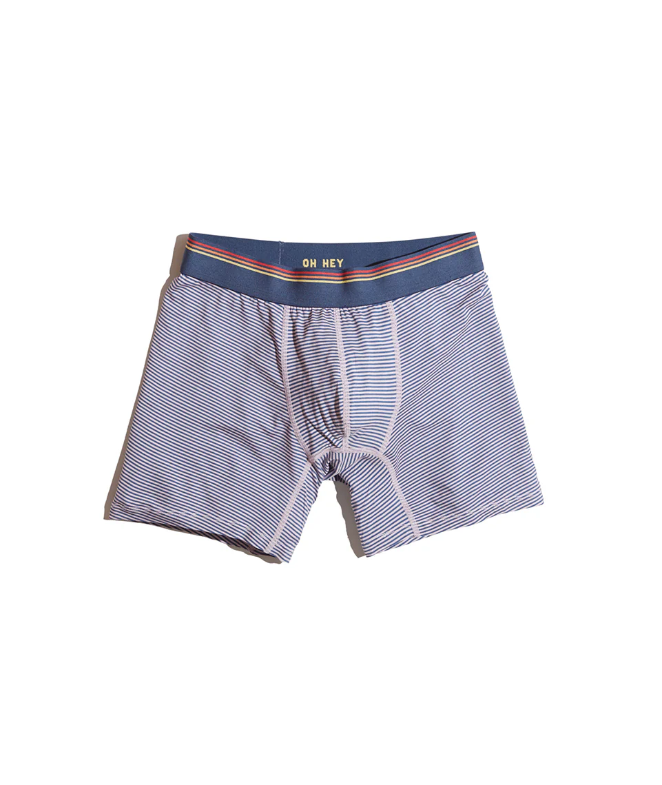 Best Briefs Ever in Navy Stripe