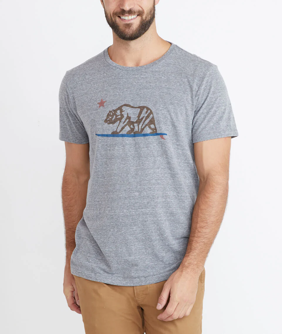 California Bear Graphic in Grey