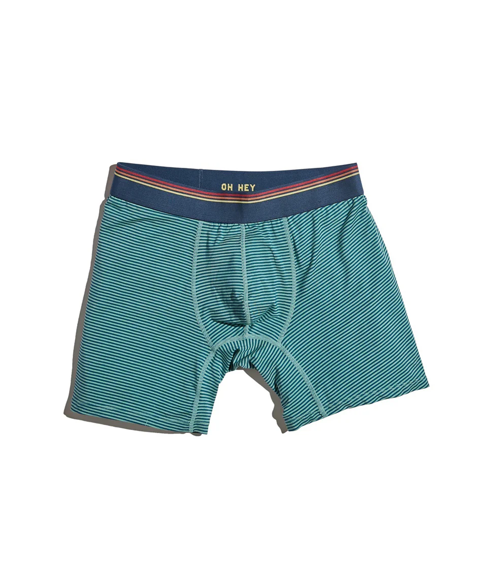 Best Briefs Ever in Navy/Green Stripe