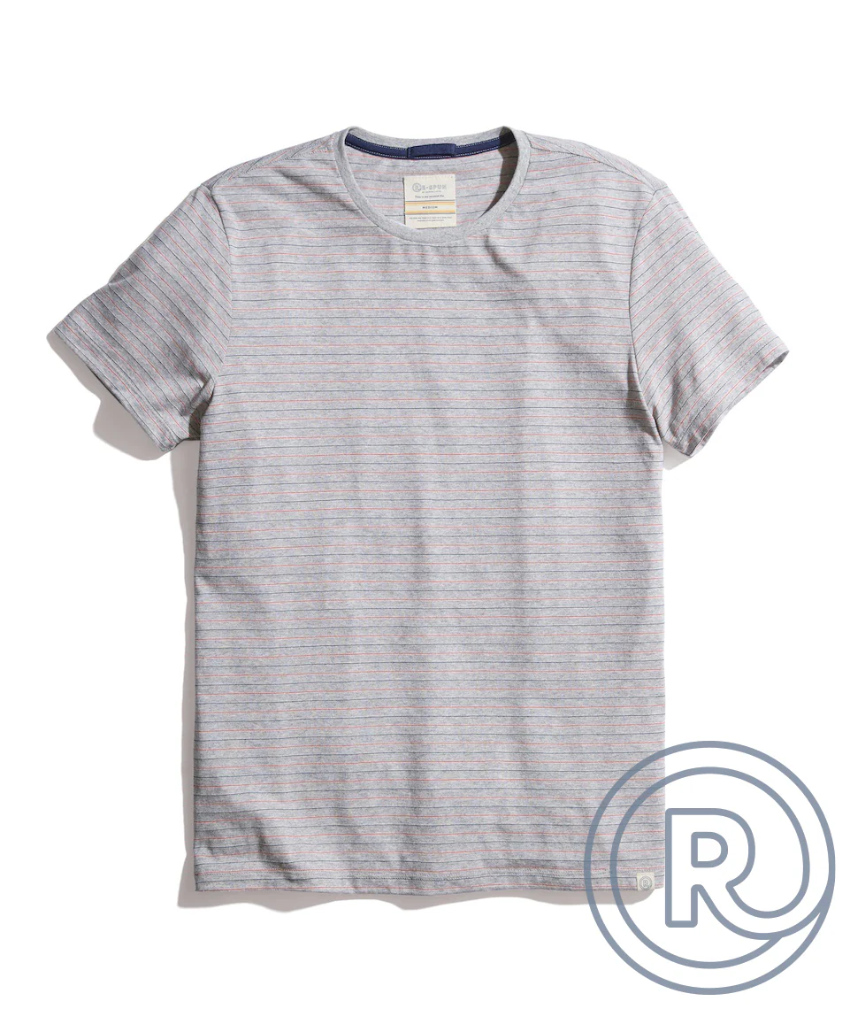 Re-Spun Stripe Crew in Heather Grey Multi Stripe