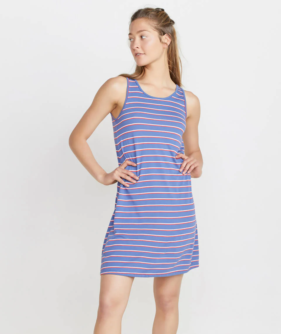 Alana Tank Dress in Dahlia Stripe