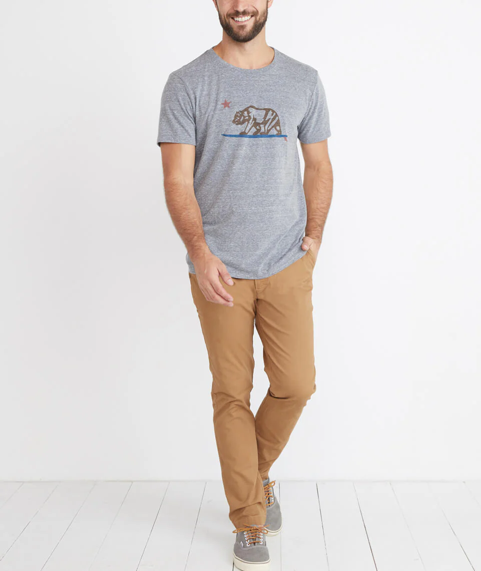 California Bear Graphic in Grey