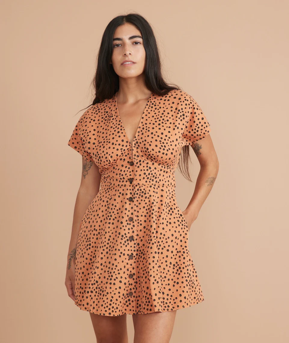 Camila Mini Dress in Abstract Cheetah Print