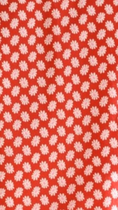 Arizona Mini Skirt - Red Floral