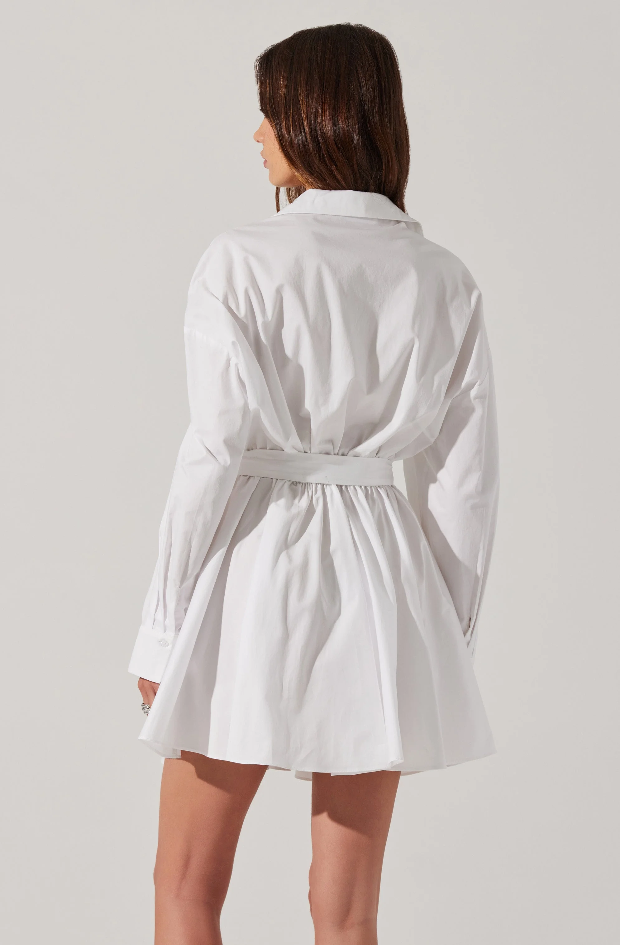 Winica Poplin Mini Dress