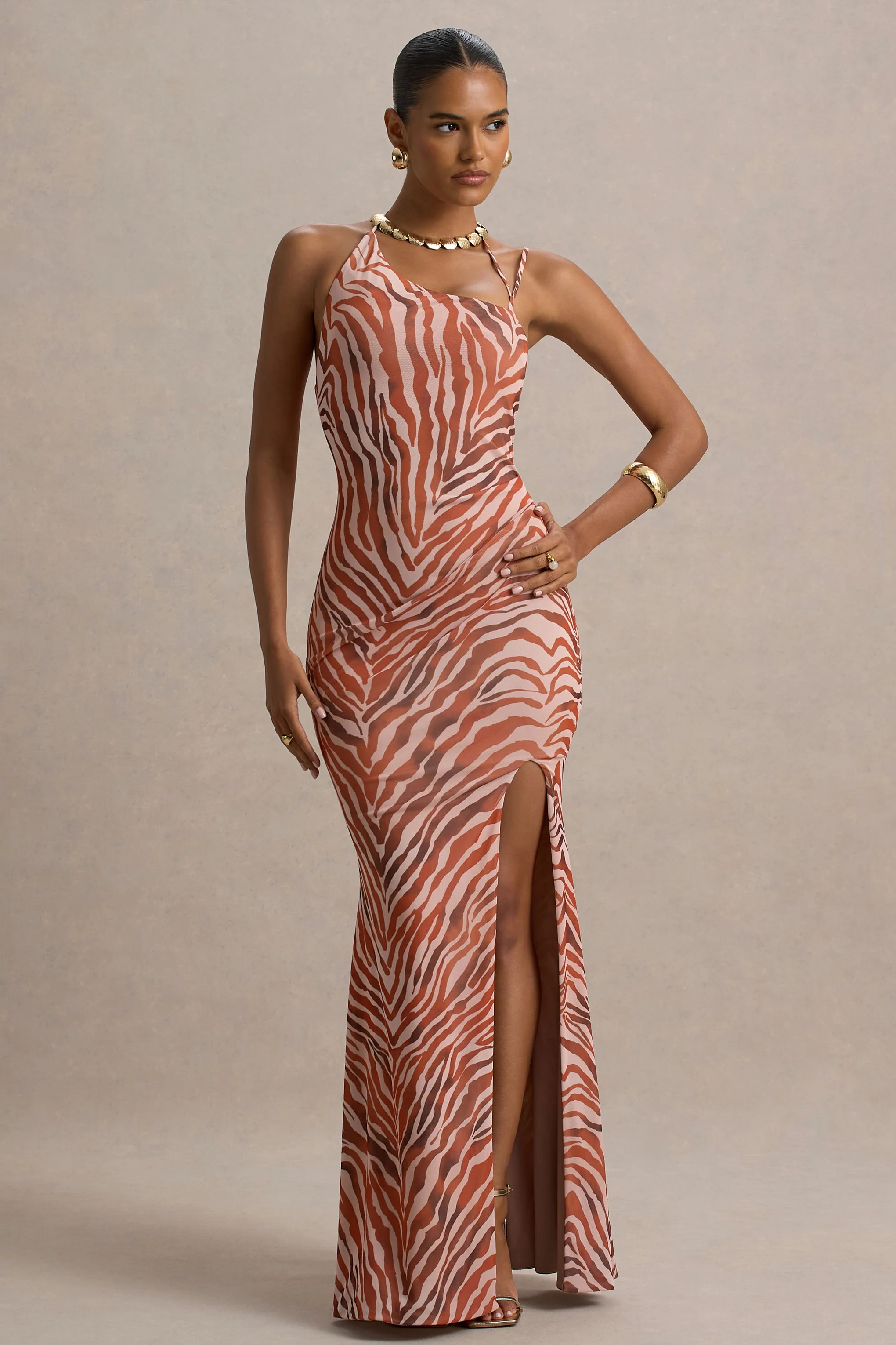 Florica | Zebra Print Mesh Asymmetric Maxi Dress With Split