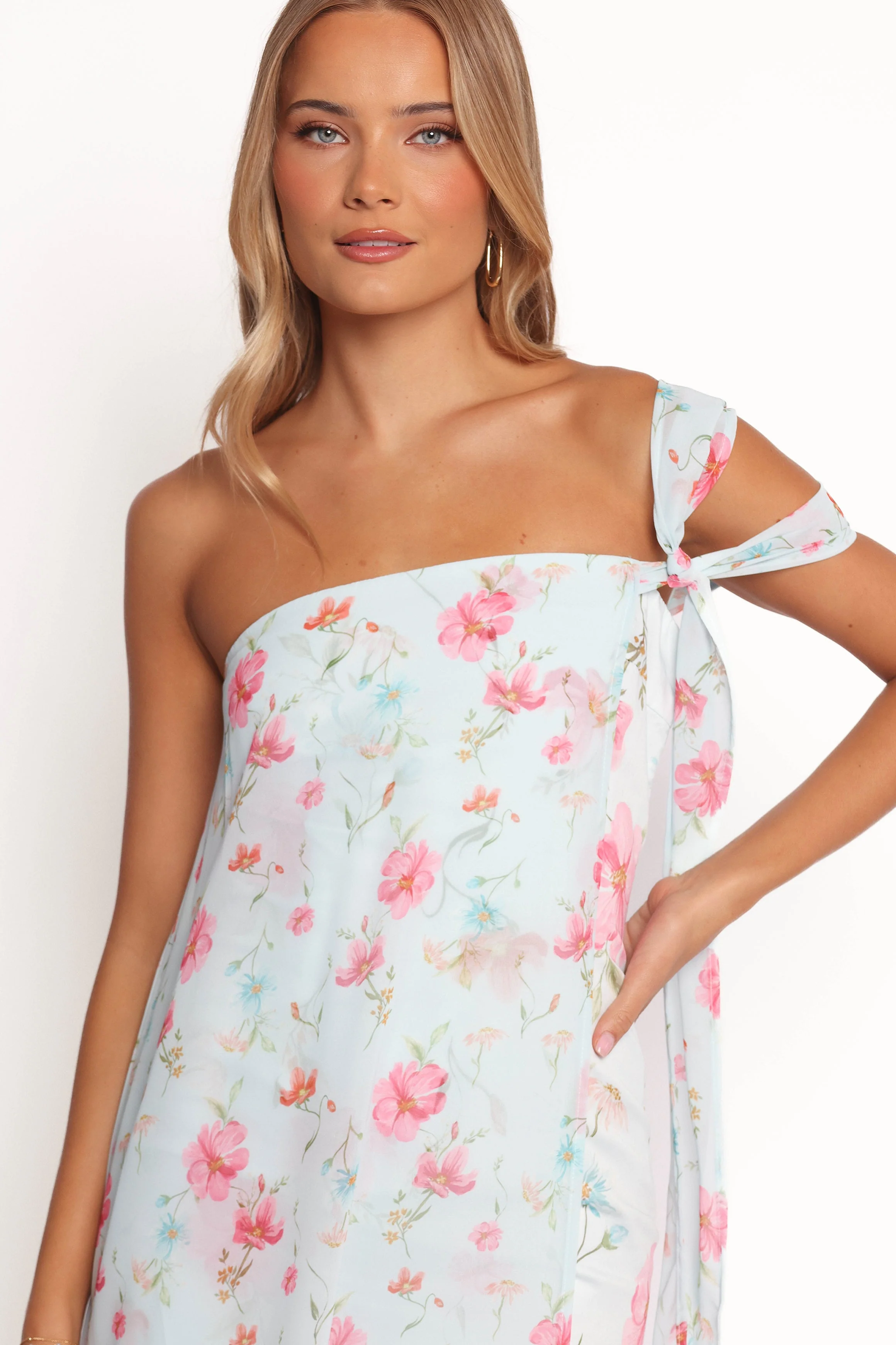 Eloisa Maxi Dress - Blue Floral