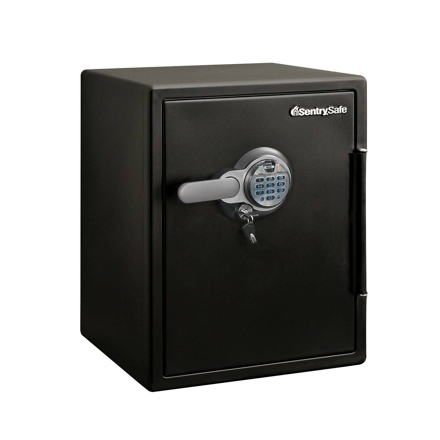 Sentry Safe Fingerprint Safes itusts