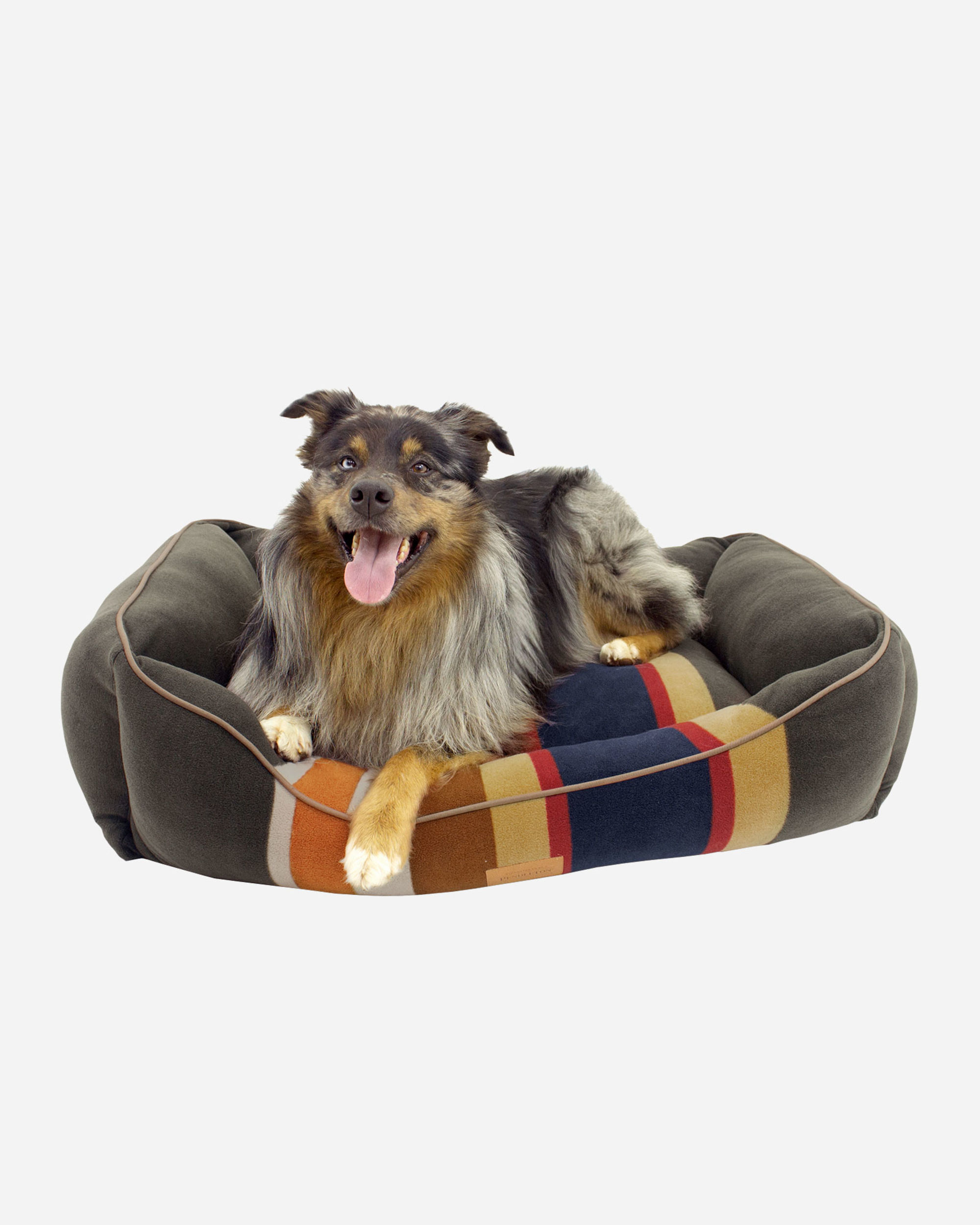 BADLANDS NATIONAL PARK DOG KUDDLER