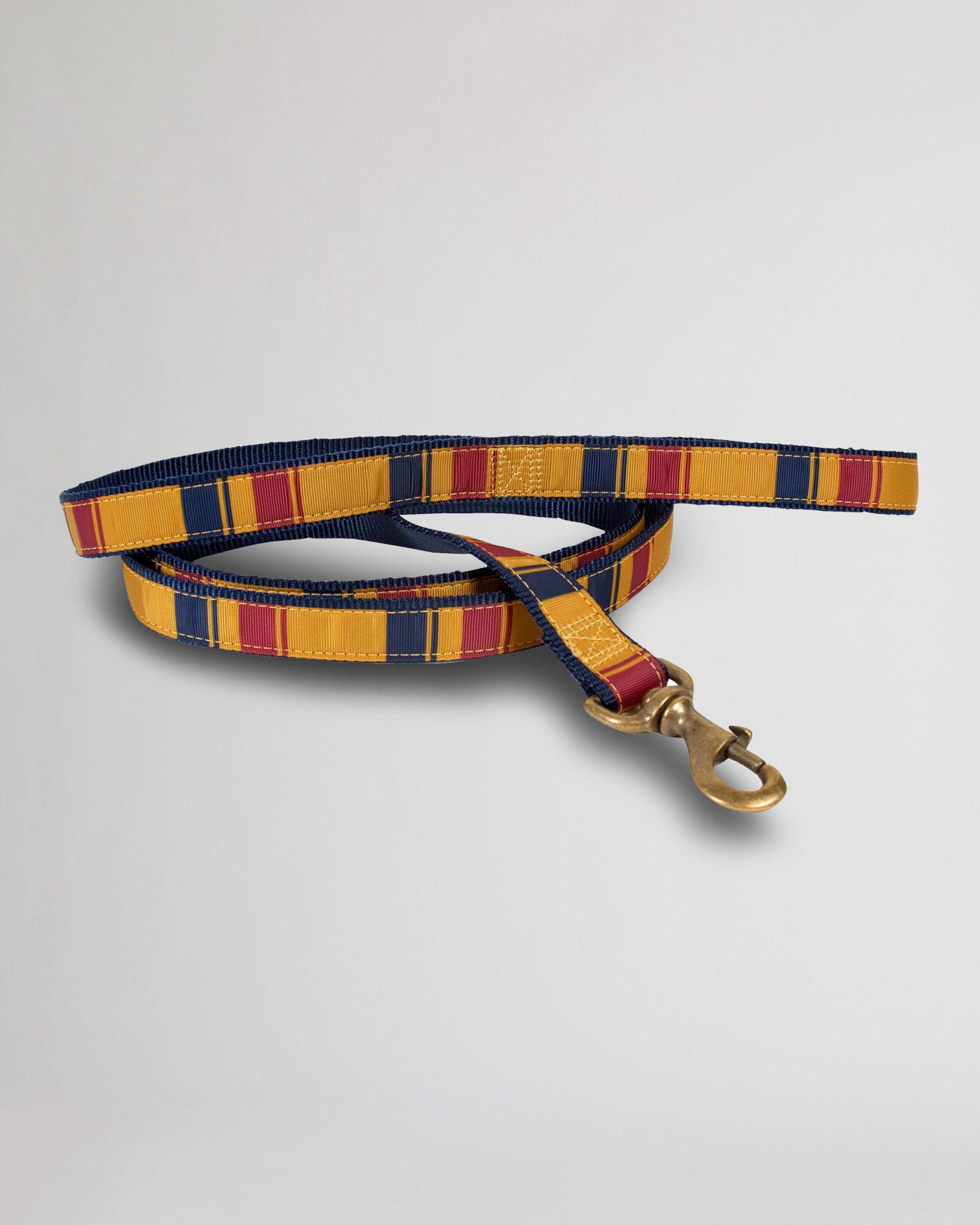 NATIONAL PARK HIKER DOG LEASH