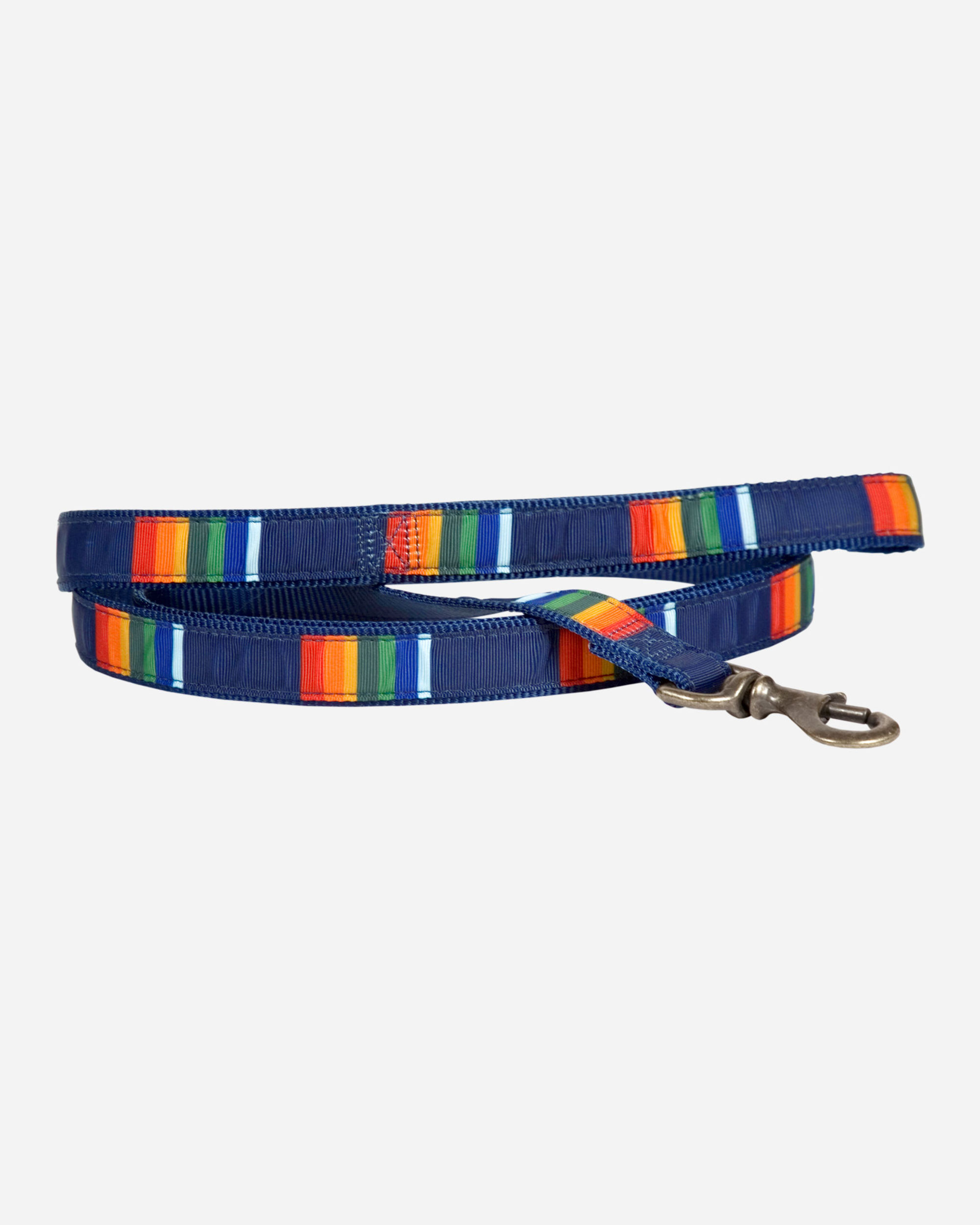 NATIONAL PARK HIKER DOG LEASH