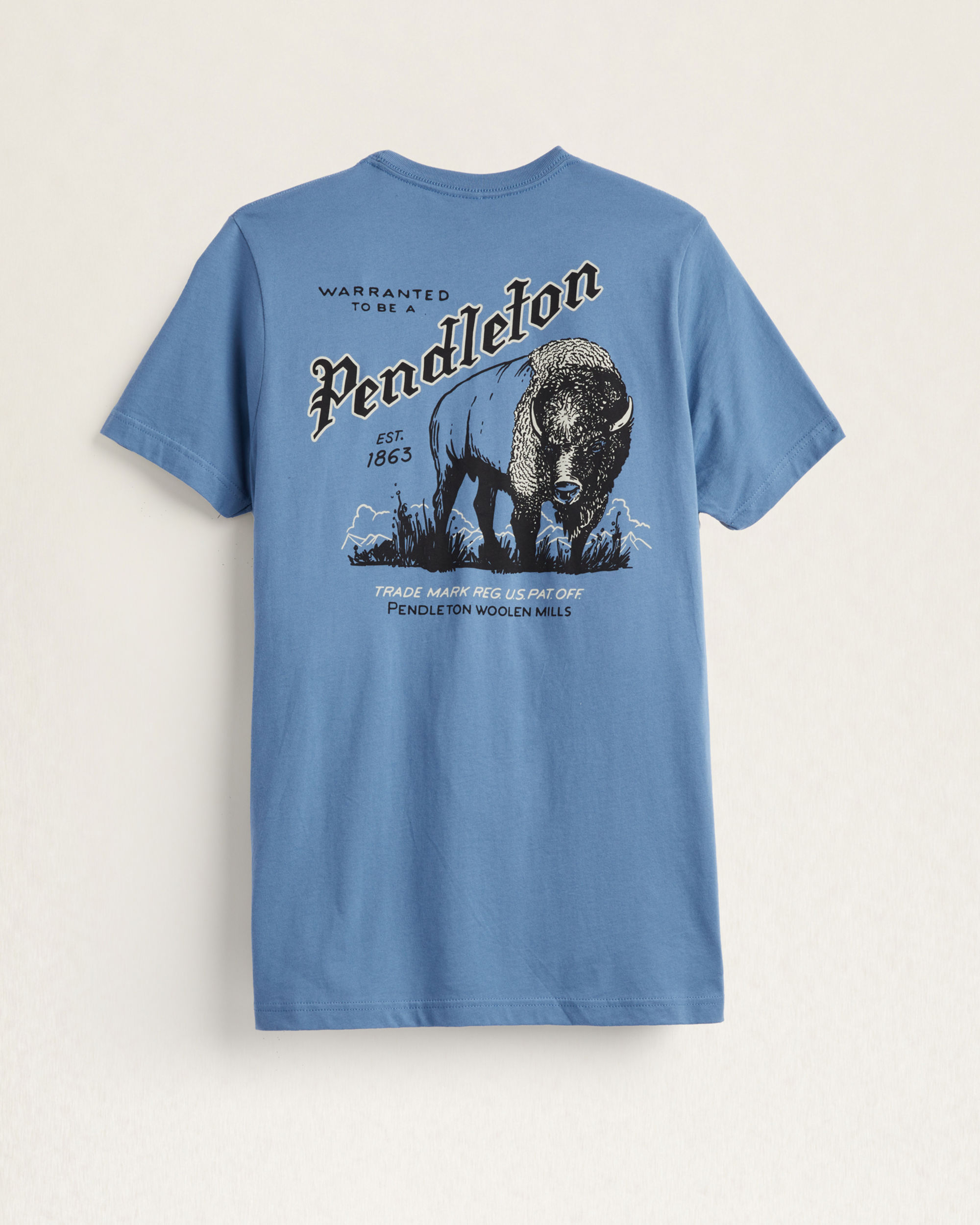 MEN'S VINTAGE BUFFALO GRAPHIC TEE