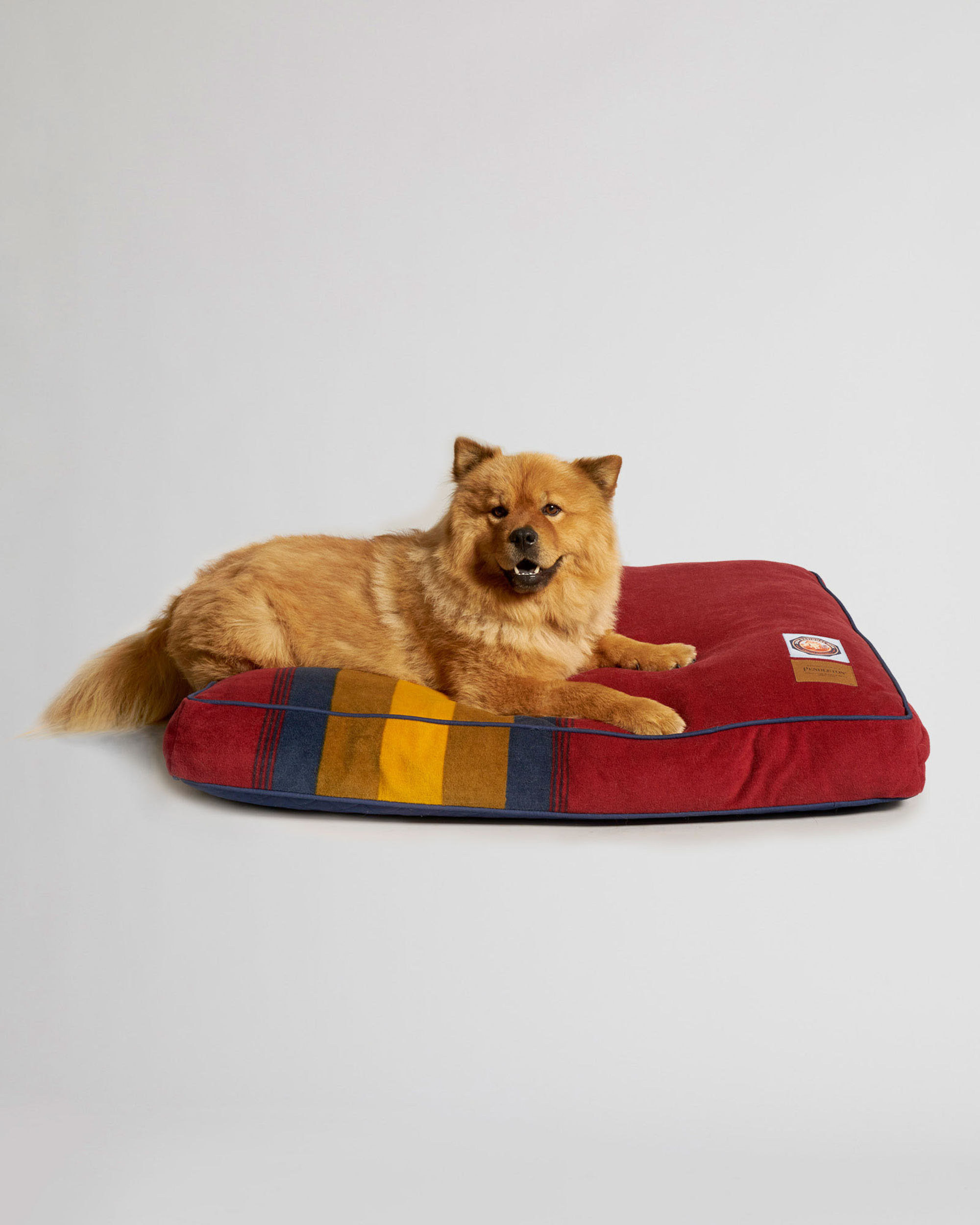 ZION NATIONAL PARK DOG BED