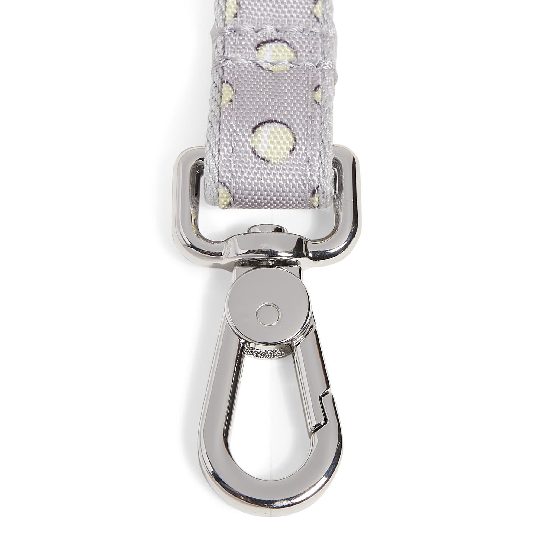 Pet Leash, Medium