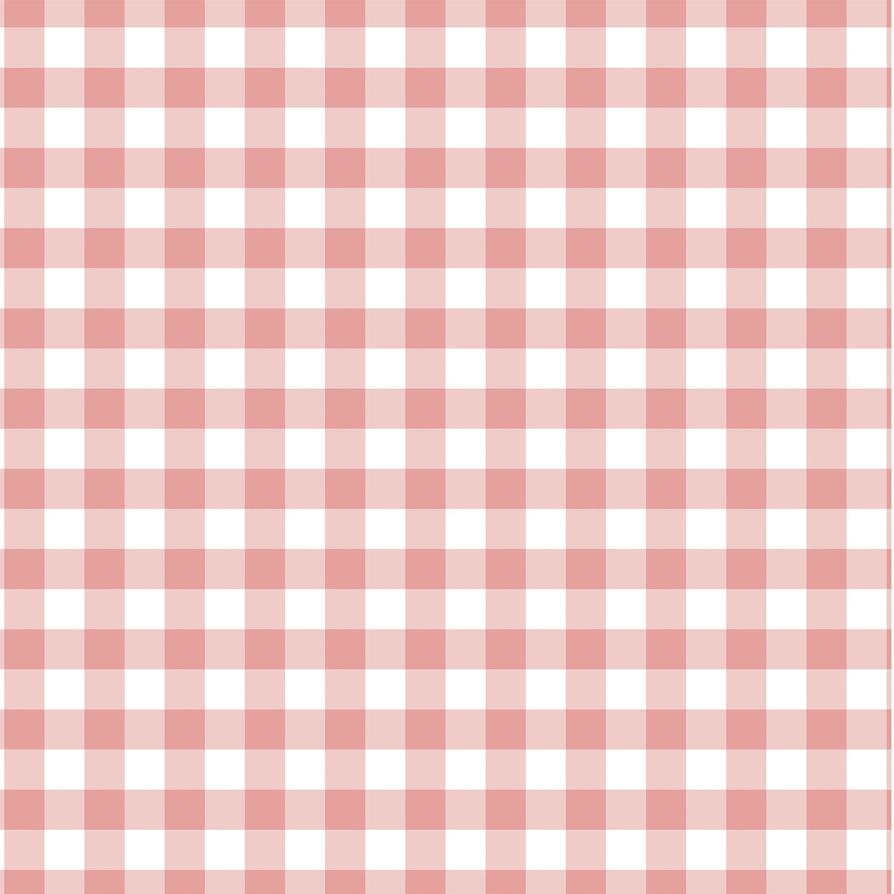 Webbing Strap Flip Flops