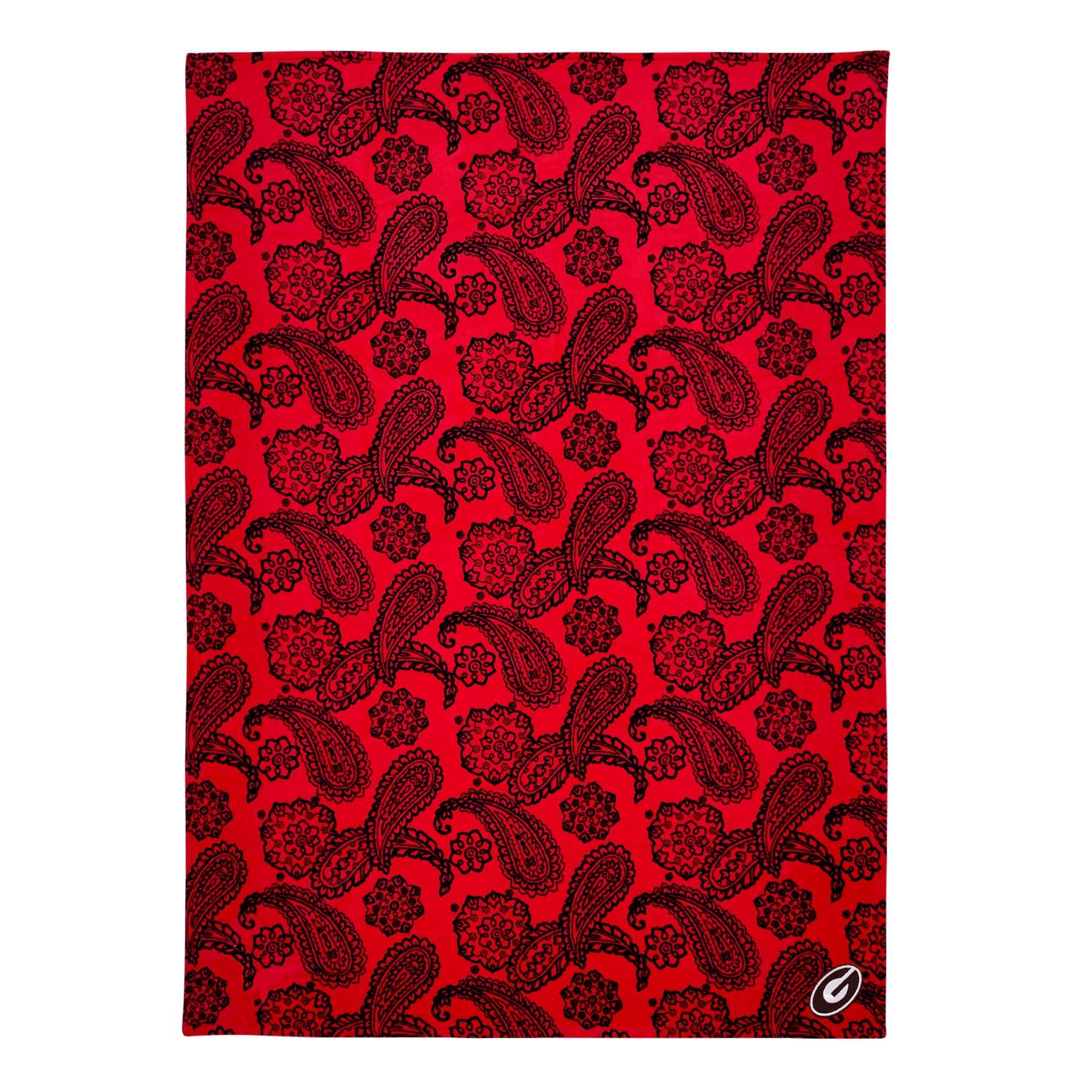 Collegiate Plush XL Throw Blanket