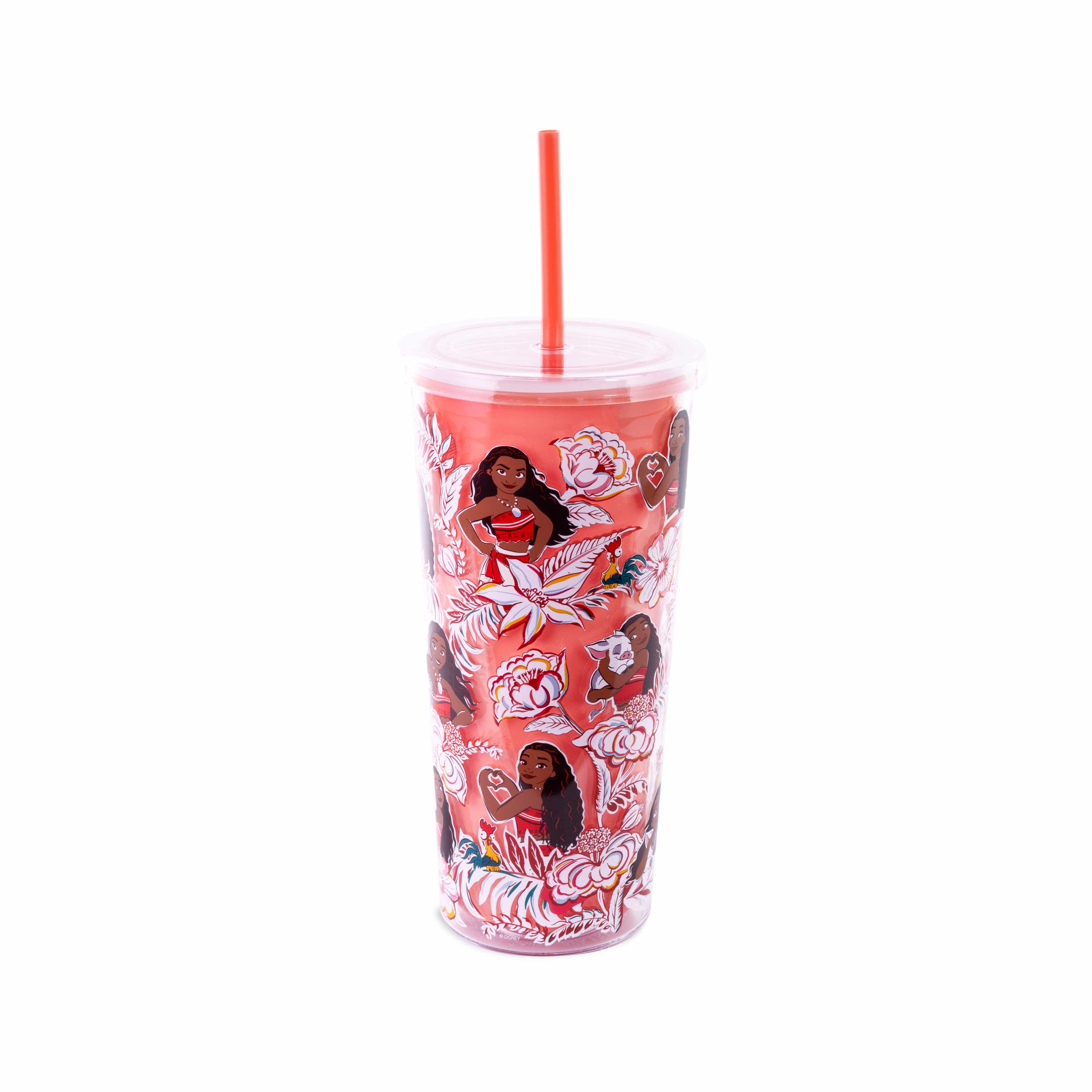 Disney Double Wall Tumbler with Straw