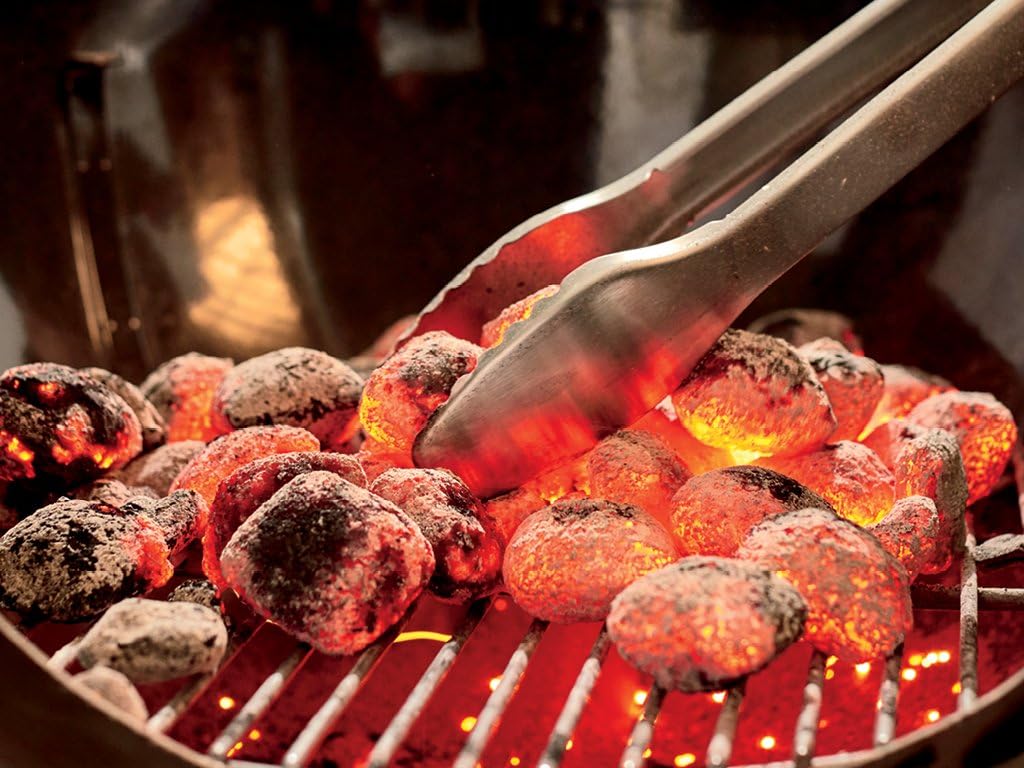 Performer Charcoal Grill. 22-Inch. Black