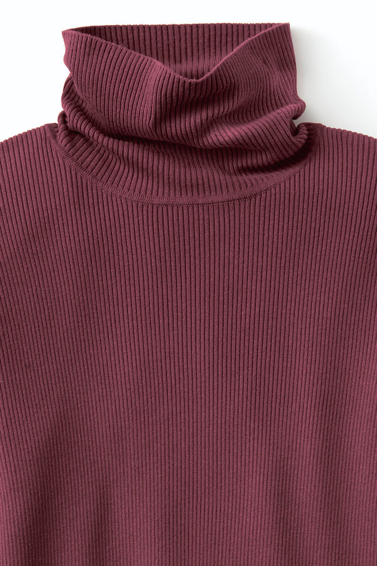 Ribbed Turtleneck Sweater