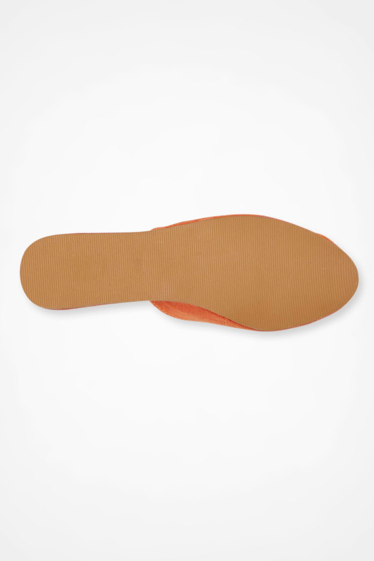 Talia  Slides by Saachi