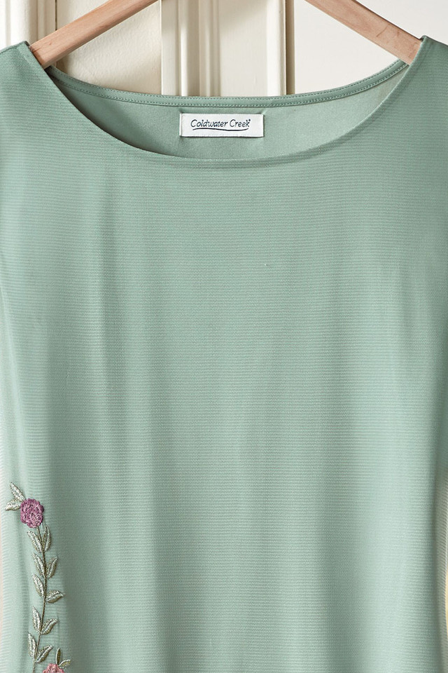 Delicate Intrigue Mesh Dress