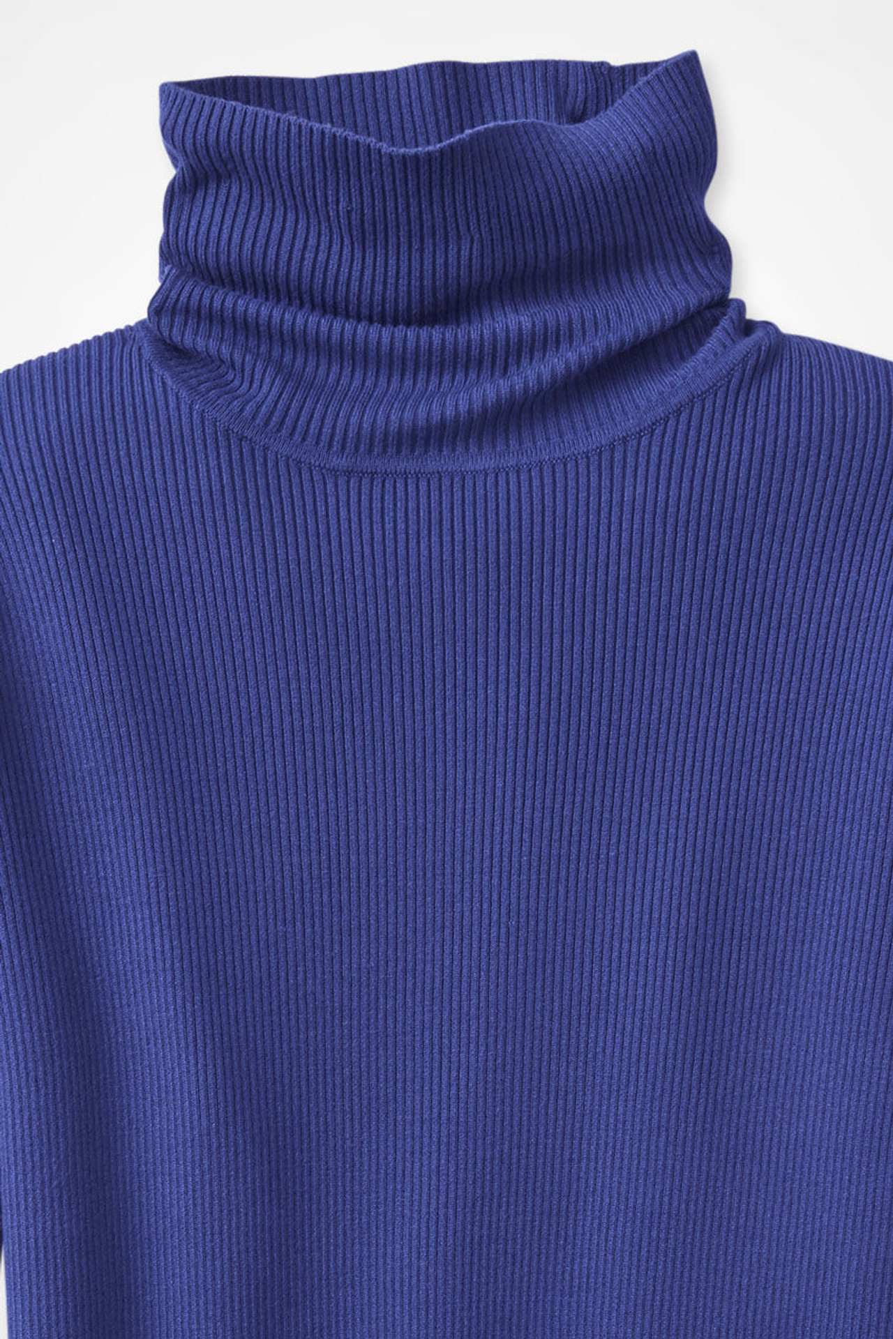 Ribbed Turtleneck Sweater