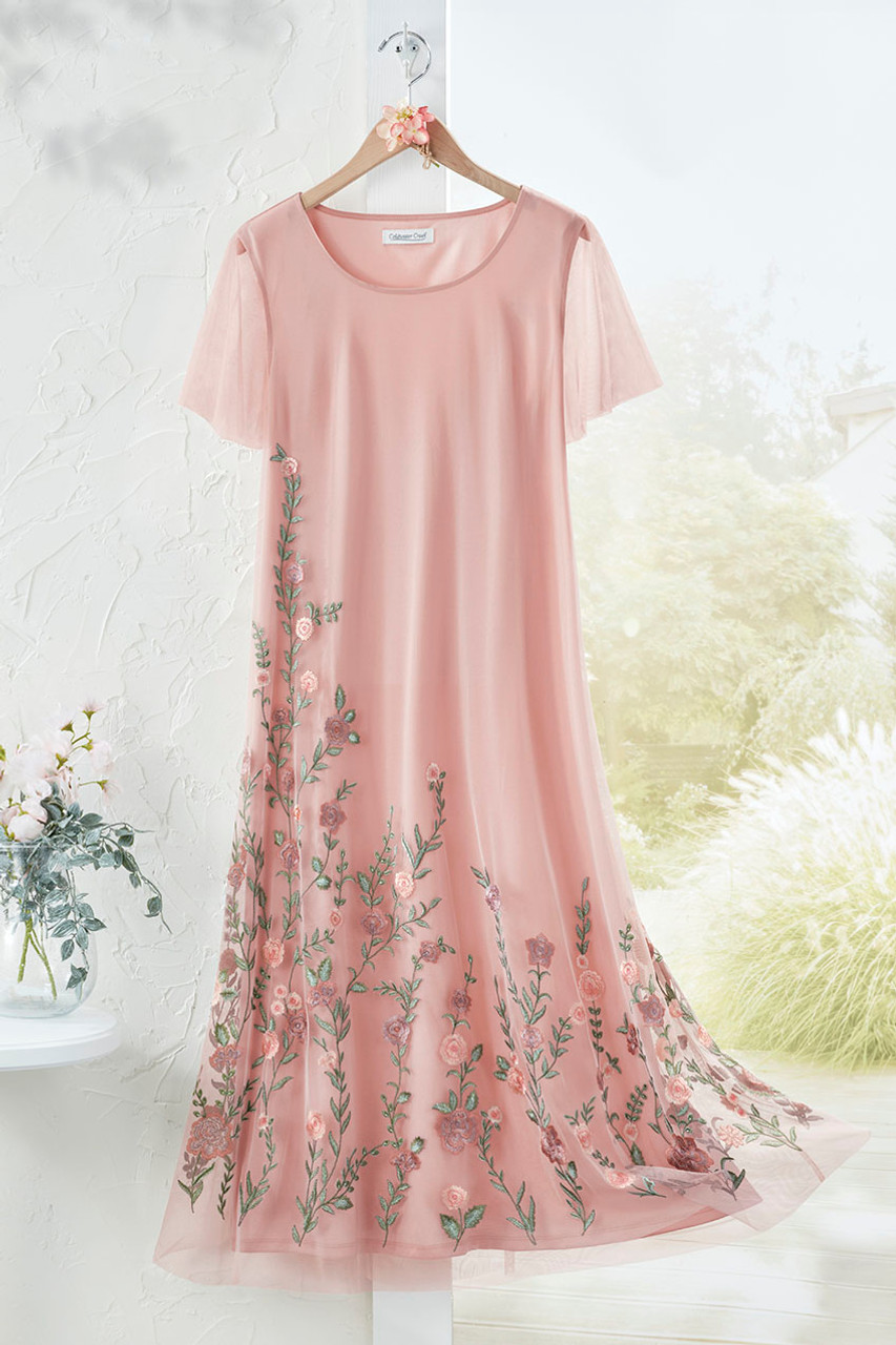 Delicate Intrigue Mesh Dress