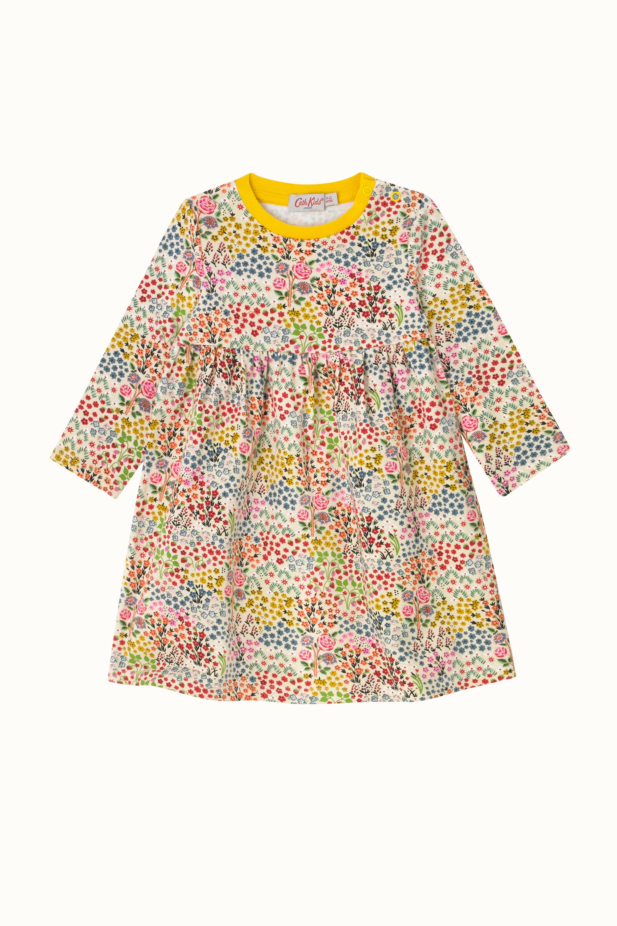 Artist Kingdom Ditsy Long Sleeve Dress (2-10 Years)