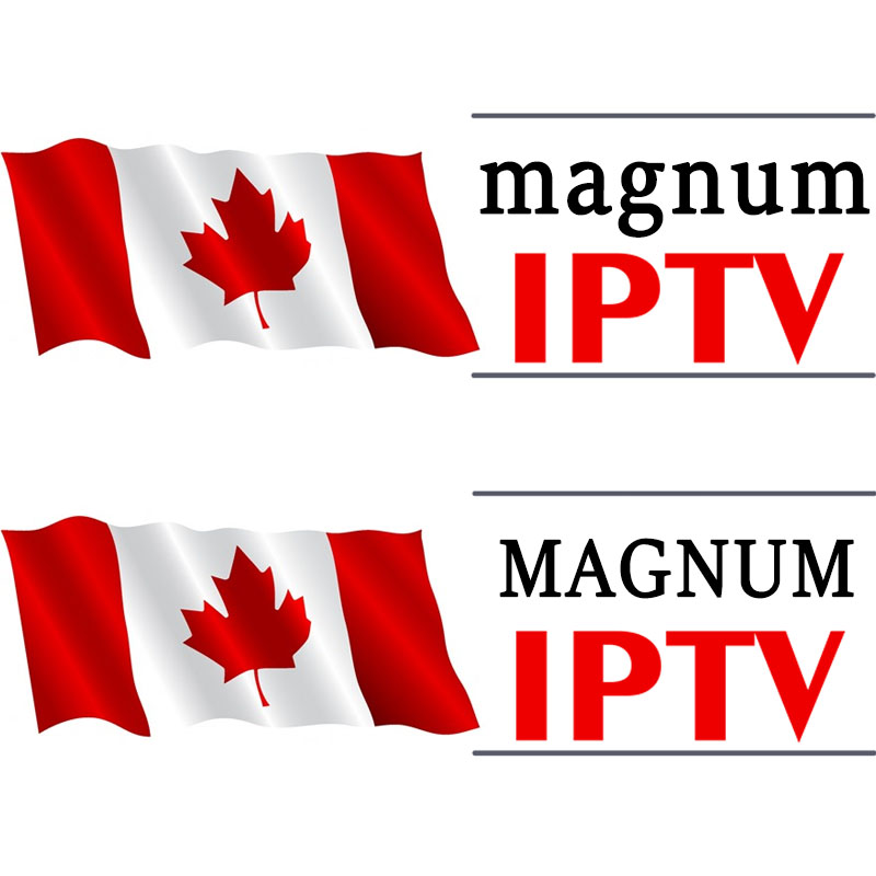 Smax 1 Year Magnum IPTV M3U Subscription USA Livego
