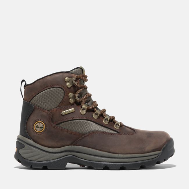 Women's Chocorua Waterproof Hiking Boot