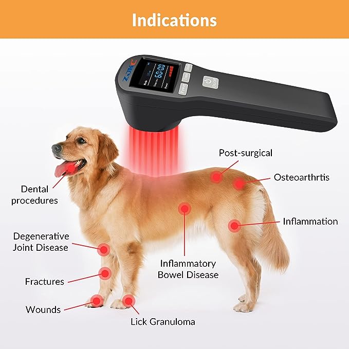 ZJKC Cold Laser Therapy Device for Muscle & Joint, 4x808nm+16x650nm