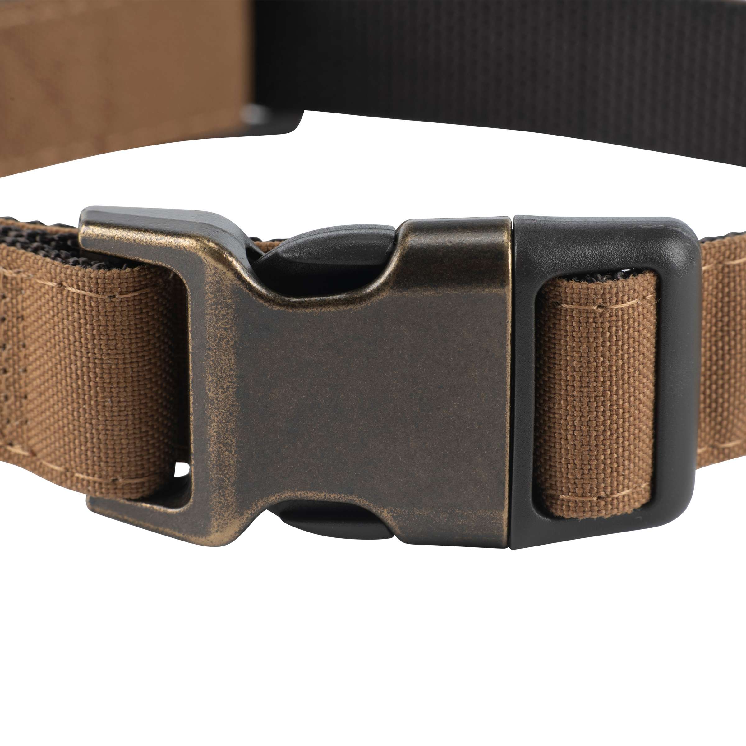 Nylon Duck Dog Collar