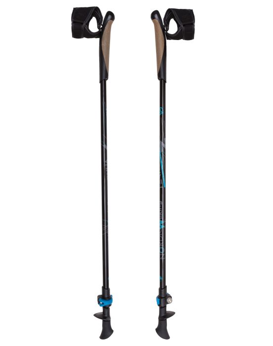 Walking Sticks