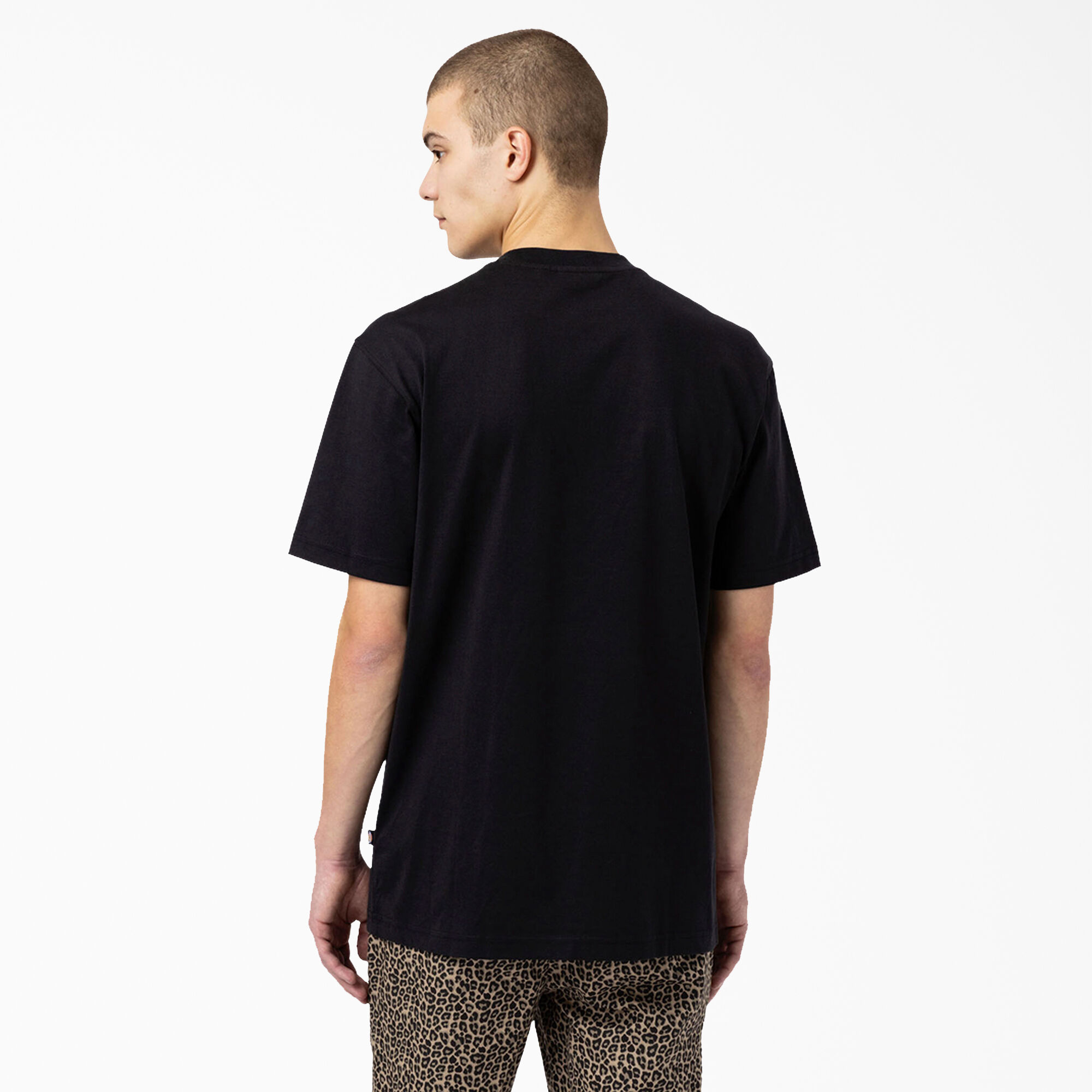 Dickies Skateboarding Mount Vista T-Shirt