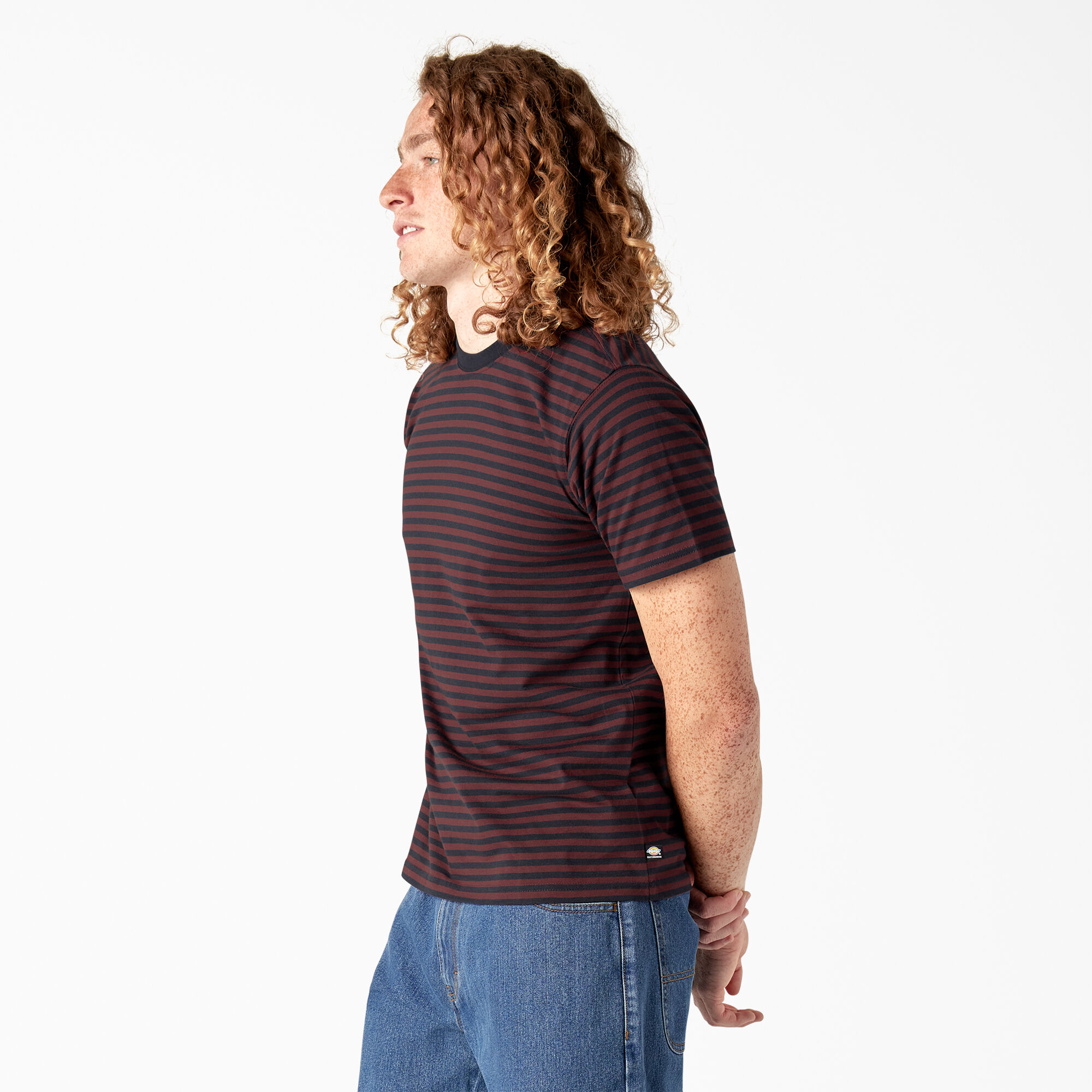 Dickies Skateboarding Striped T-Shirt