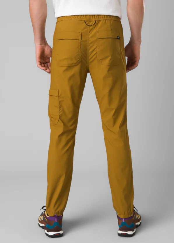 Stretch Zion E-Waist Pant II
