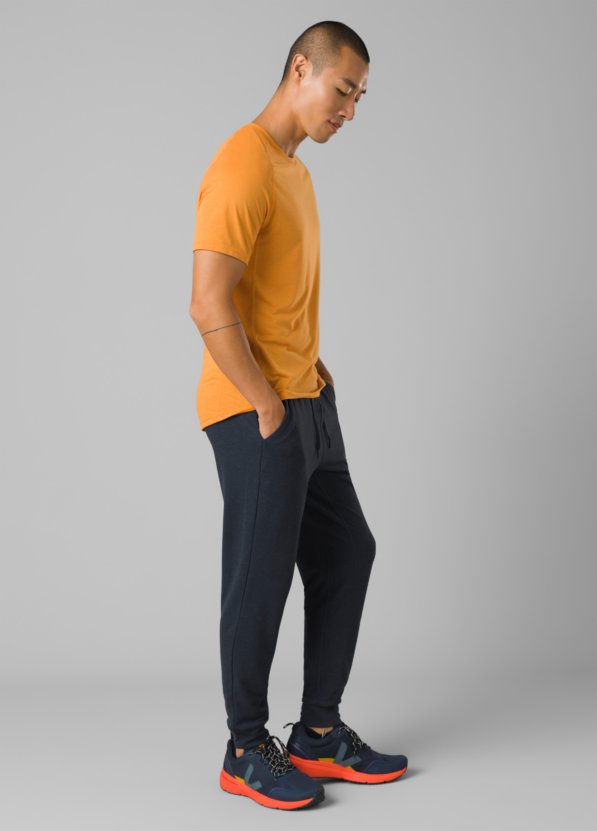 Altitude Tracker Jogger II