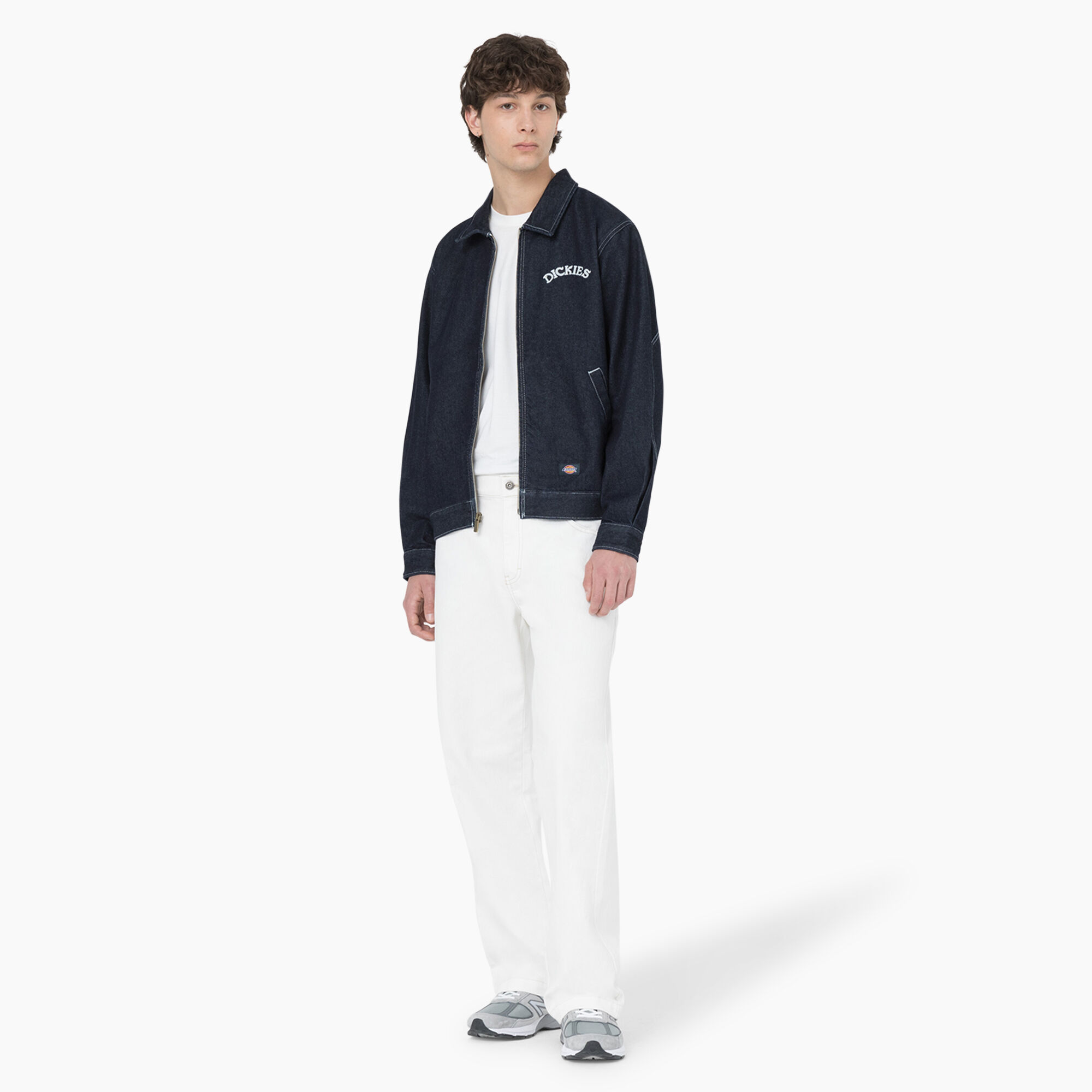 Dickies Skateboarding Wingville Loose Jeans